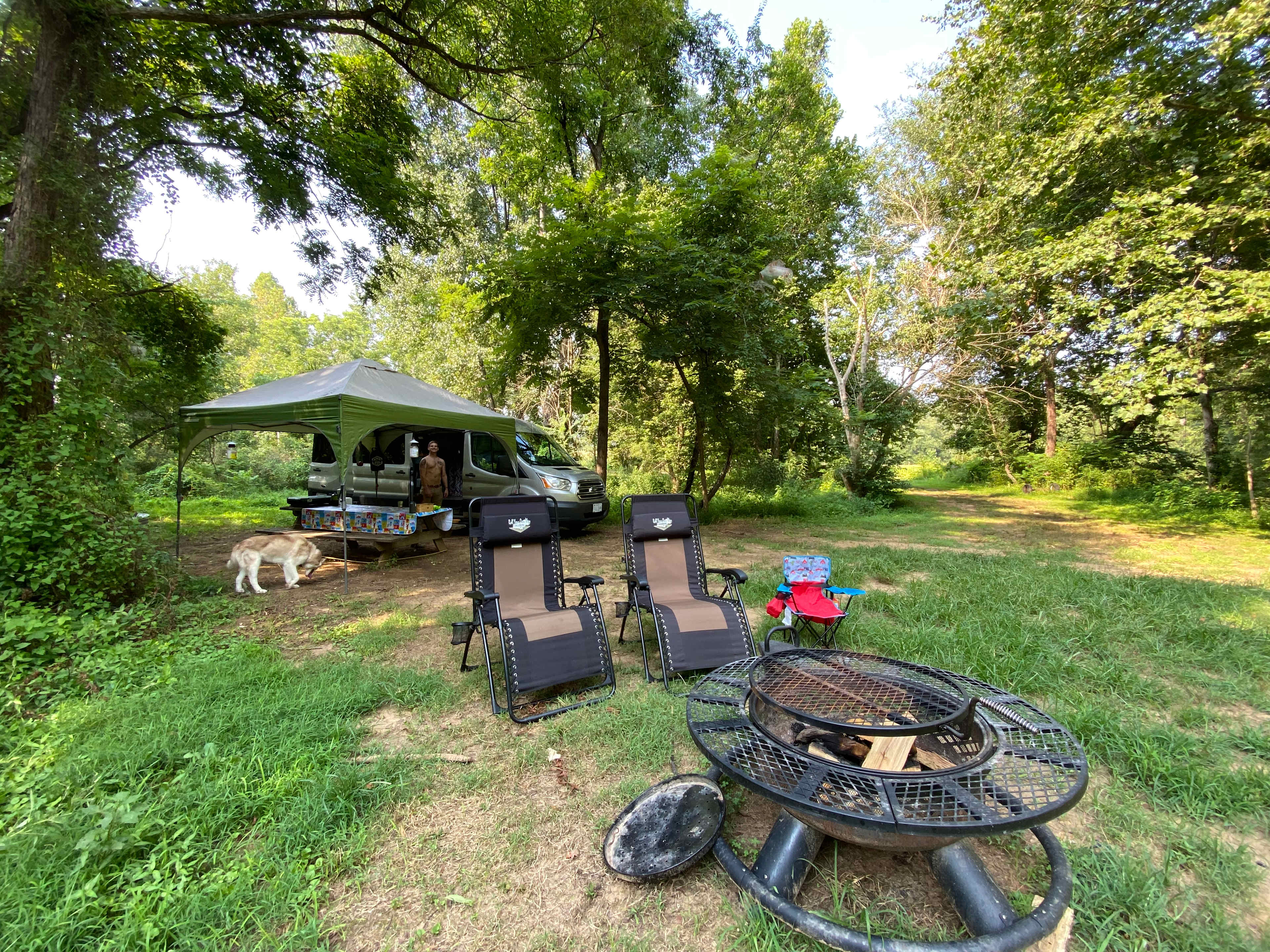 Picture of the site