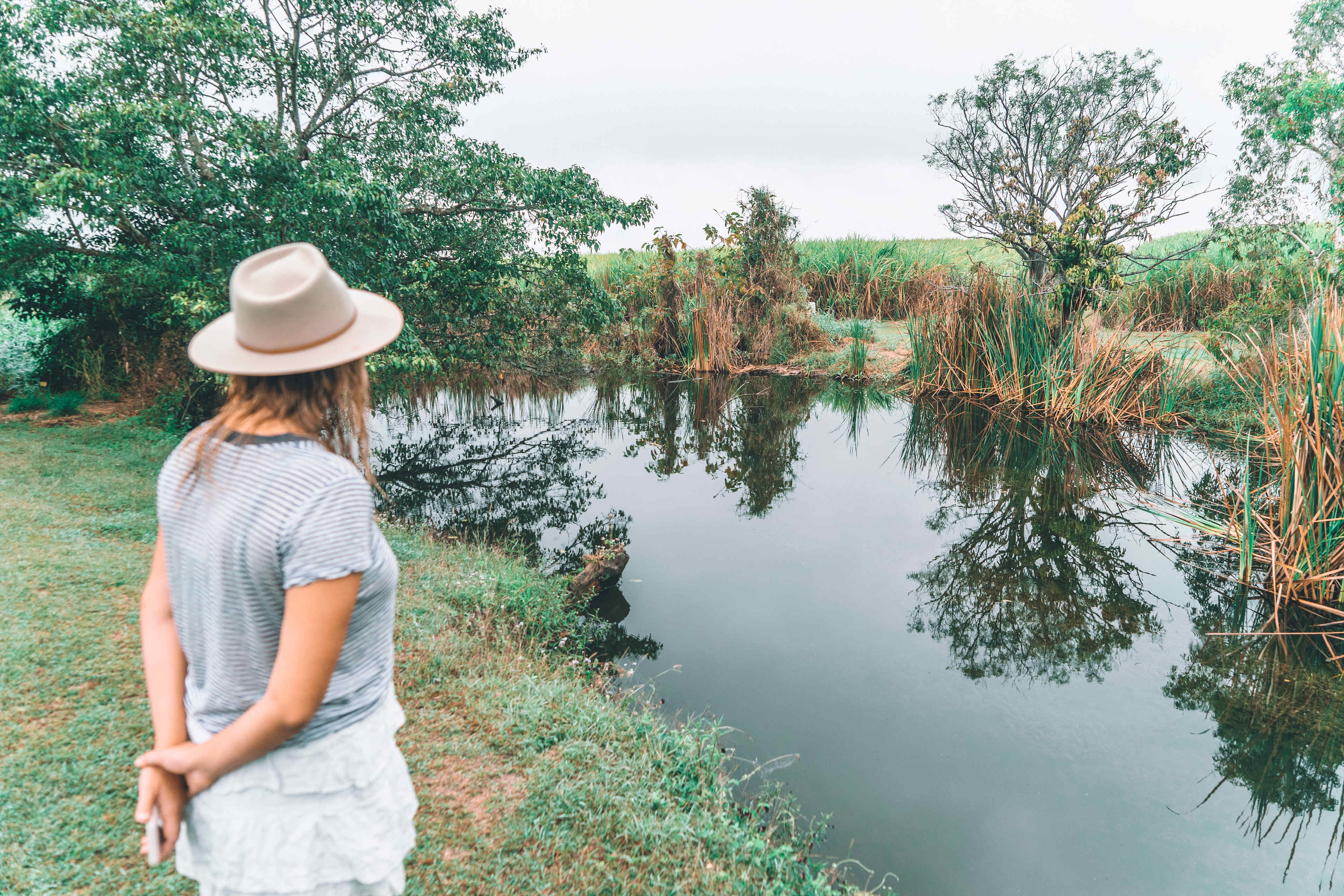 Looking for platypus in the billabong