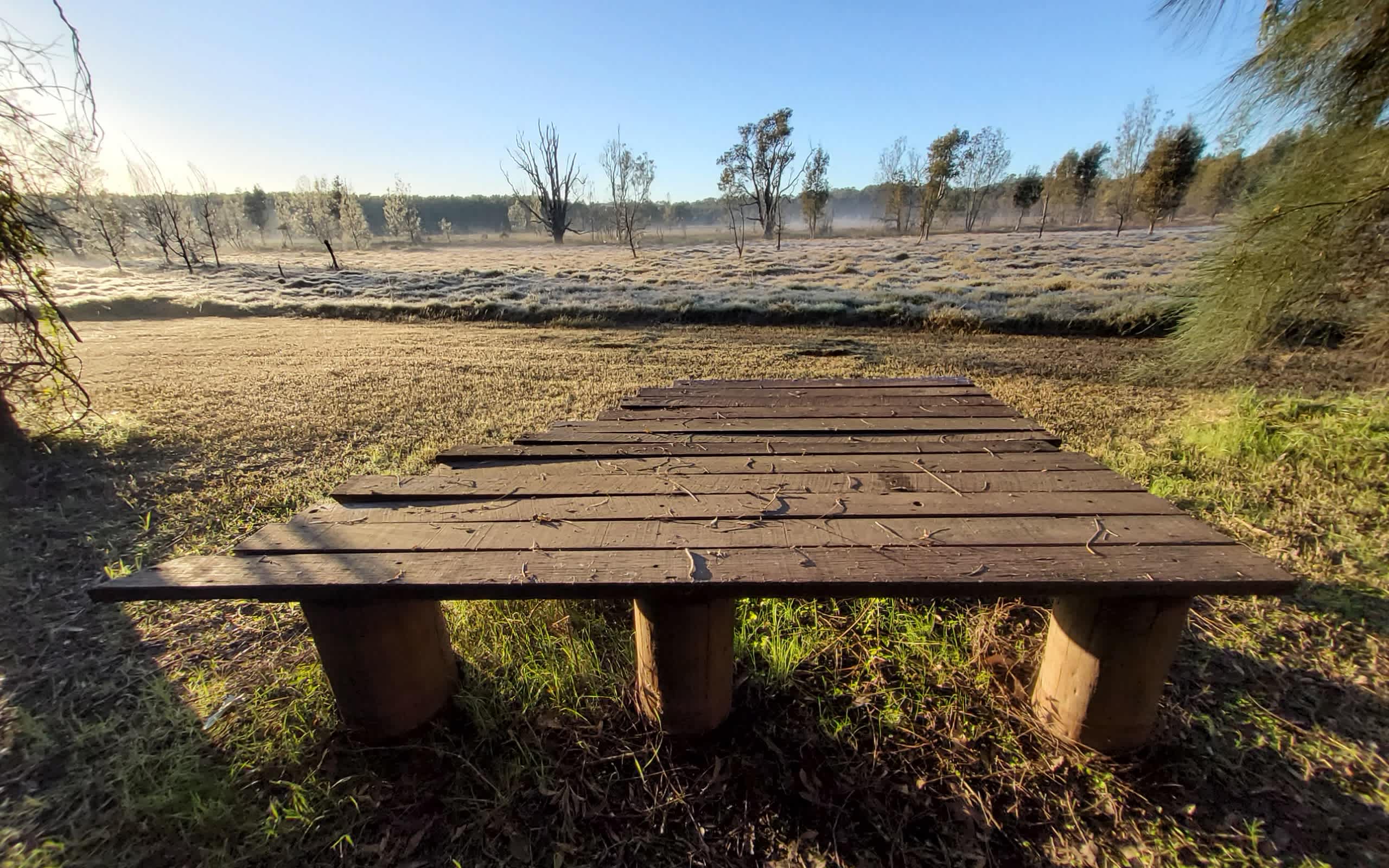 The Mini Deck - no camping or vehicle access past the deck, thank you