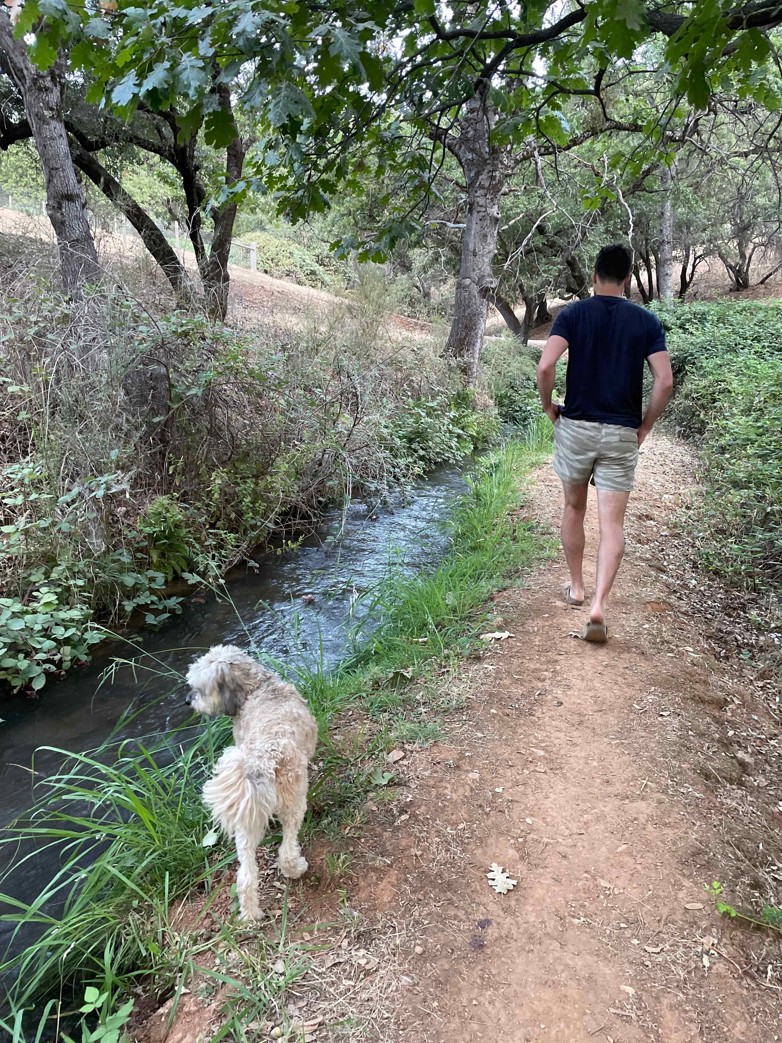 Animal Lovers Paradise