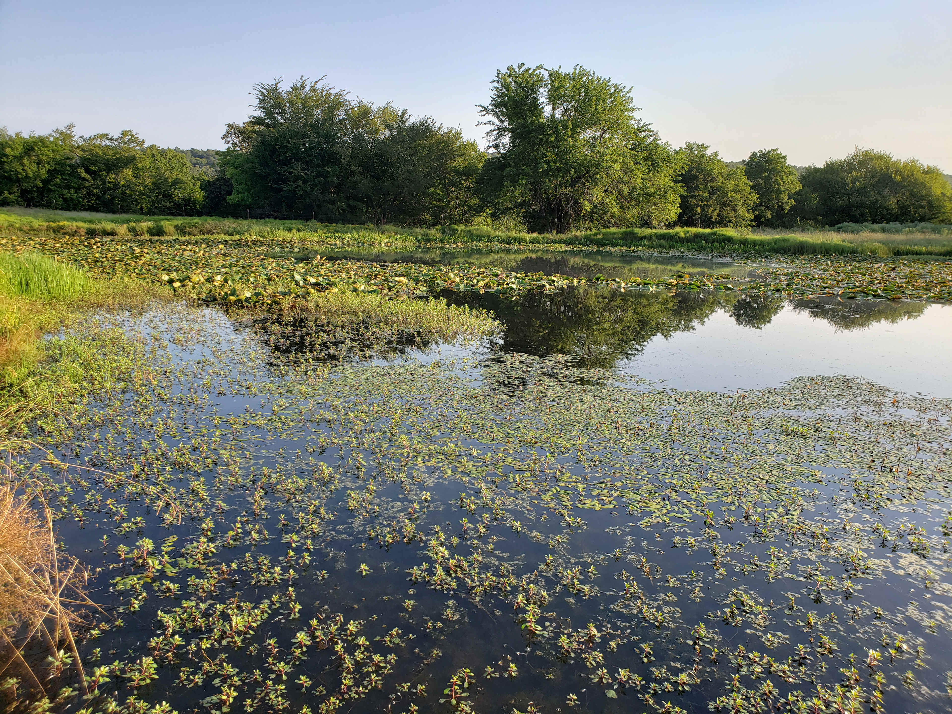 Picture of the site