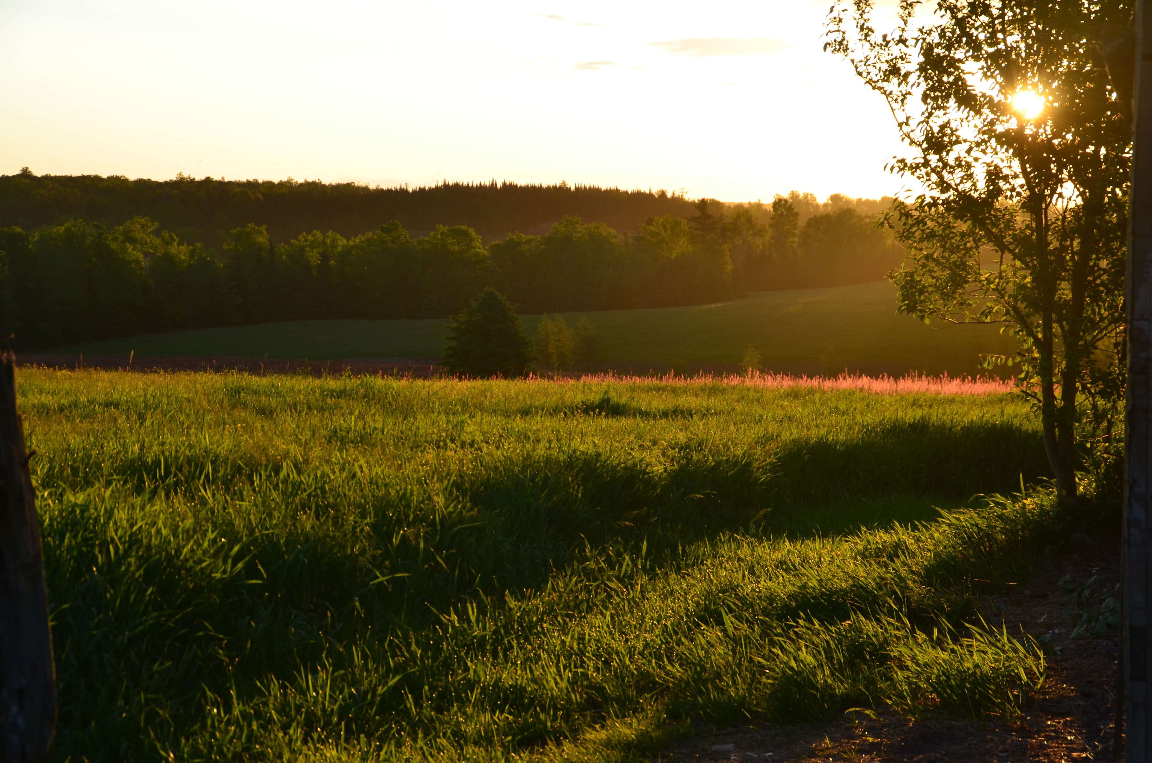 Pearl House Farm