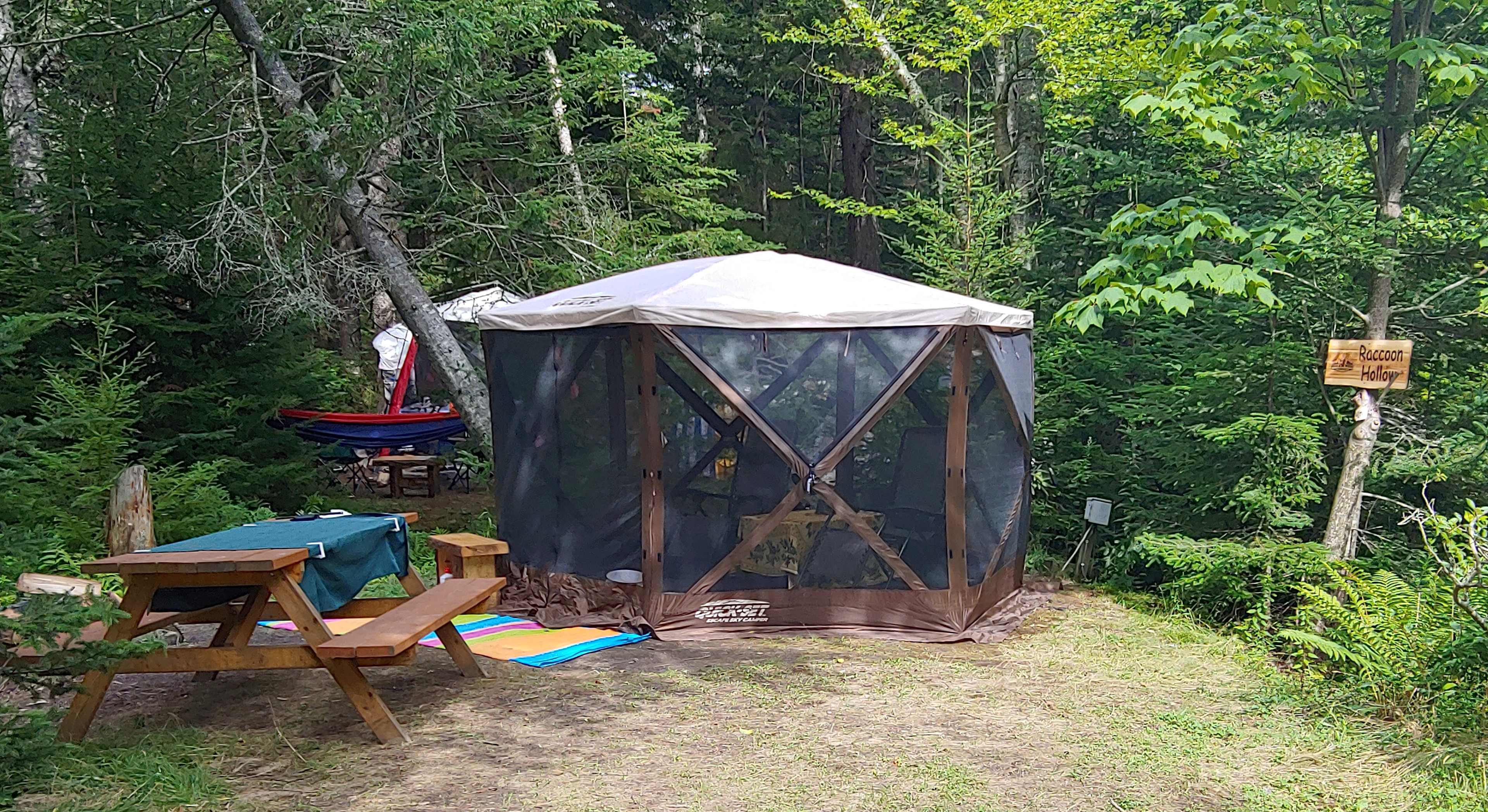 Our sweet site!