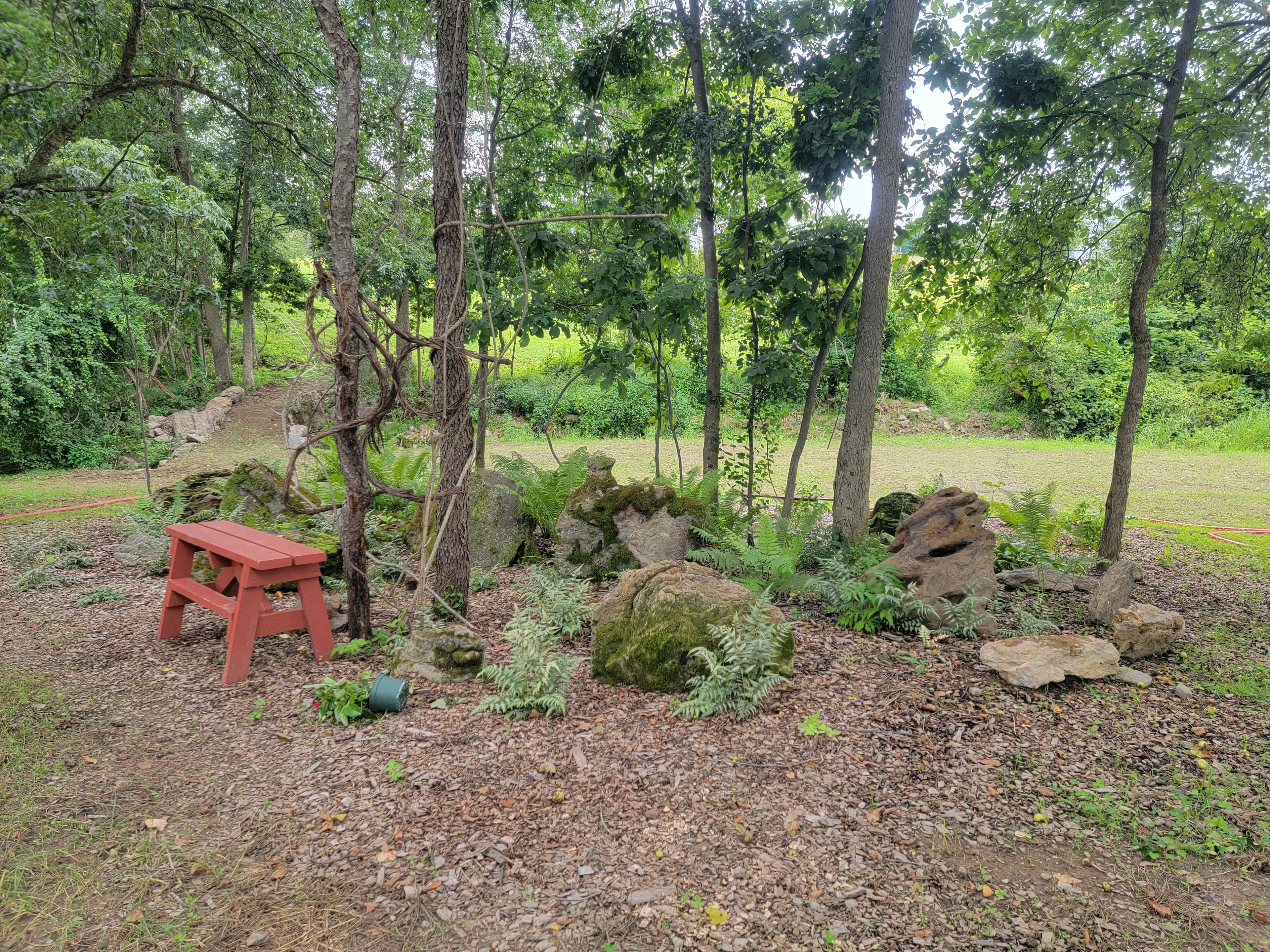 Picture of the site