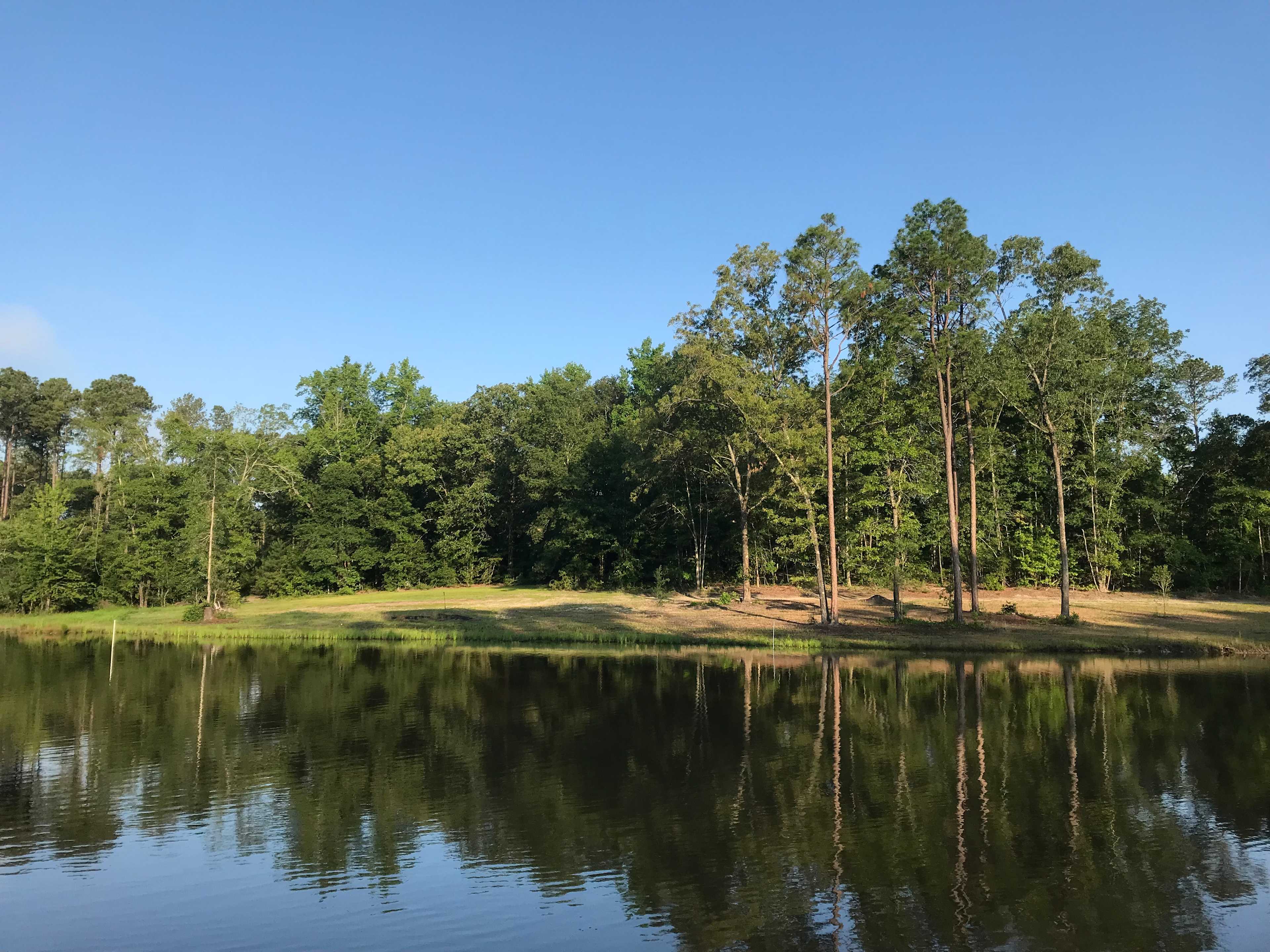 Wide view of both sites from across the pond.