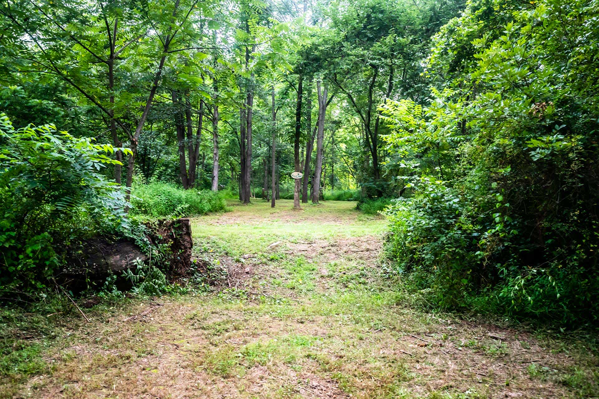 The view of the fire pit area from the tent site