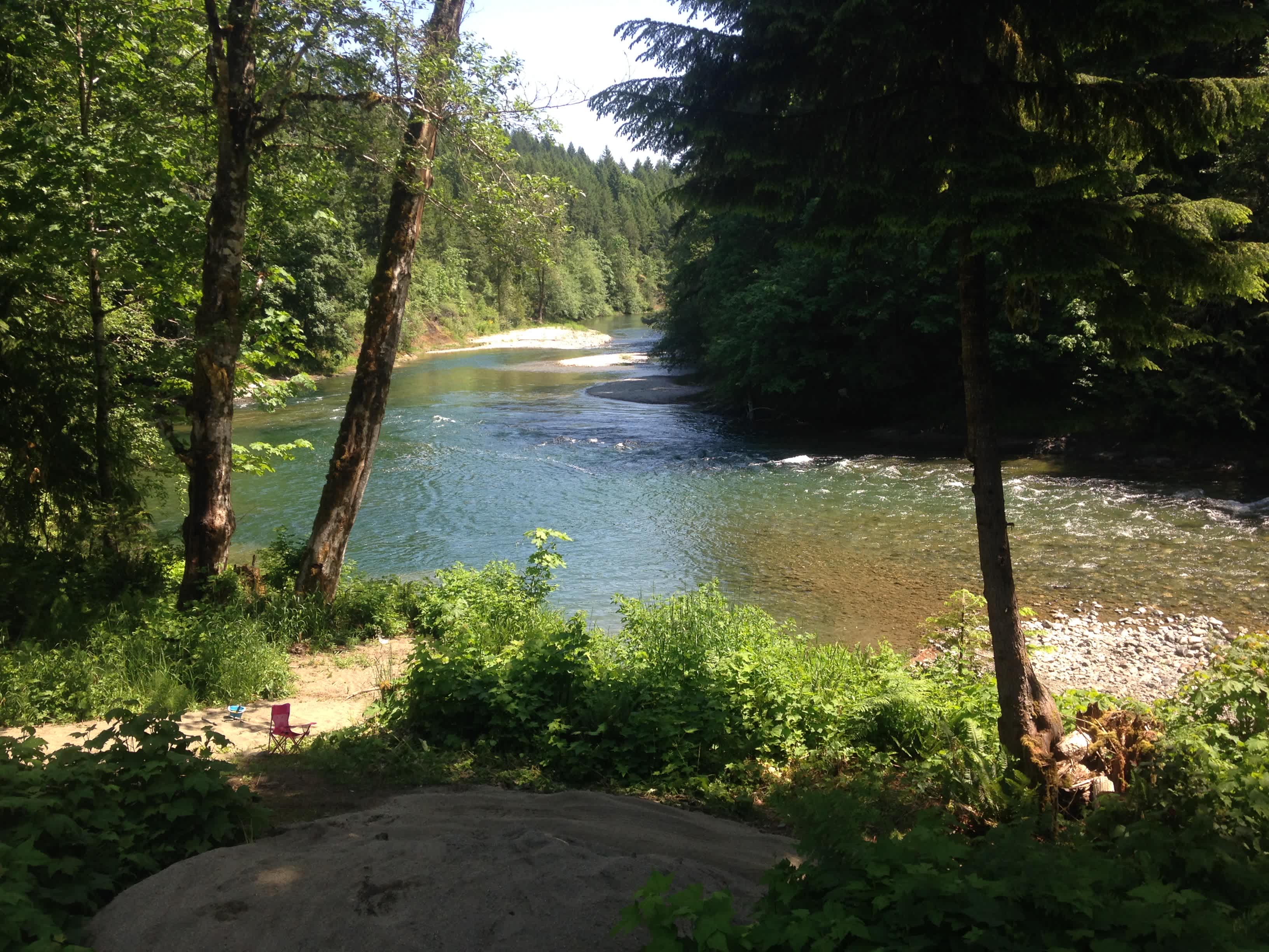 Beautiful Rainforest Camping Along the Cowichan River