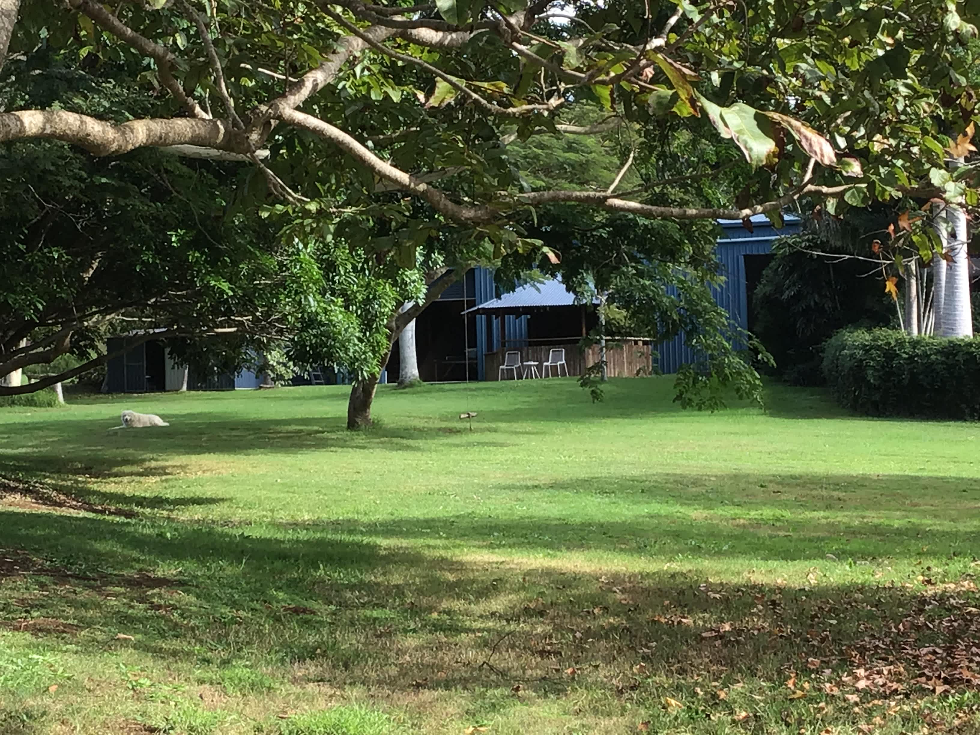 Big Blue Barn