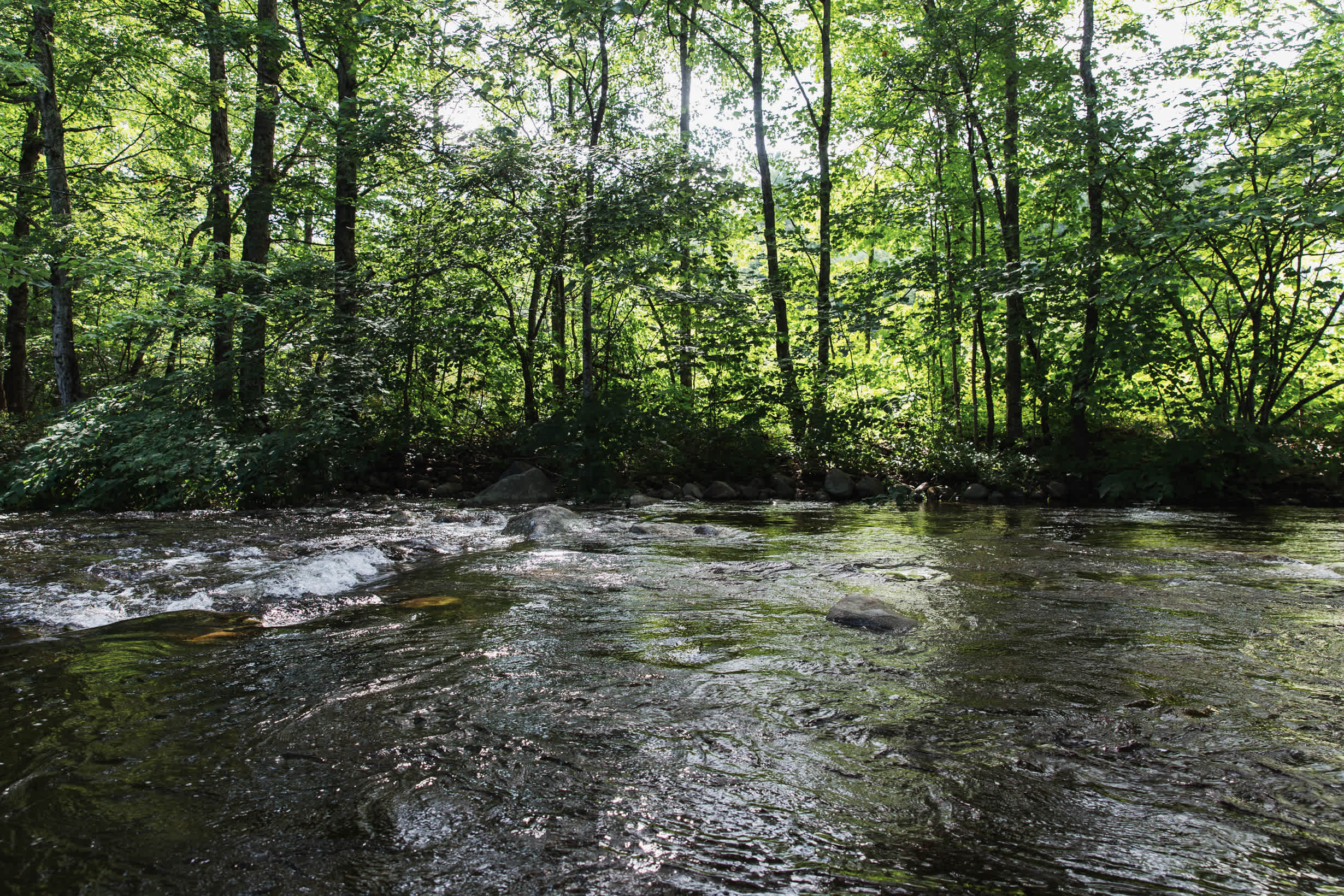 On a hot August afternoon, there's nothing nicer than stepping into the cold water. 