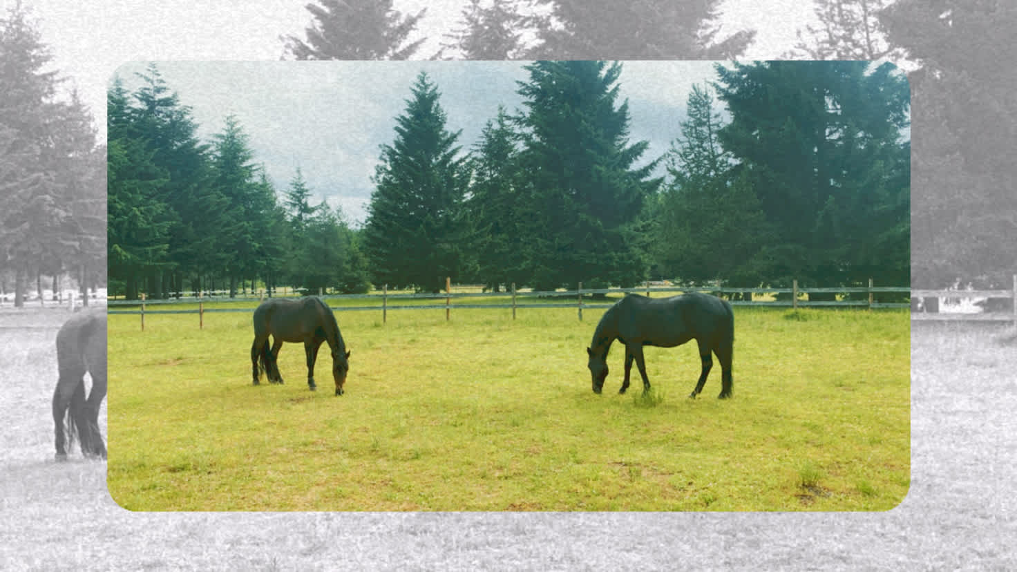 Silver Ridge Ranch & Campground