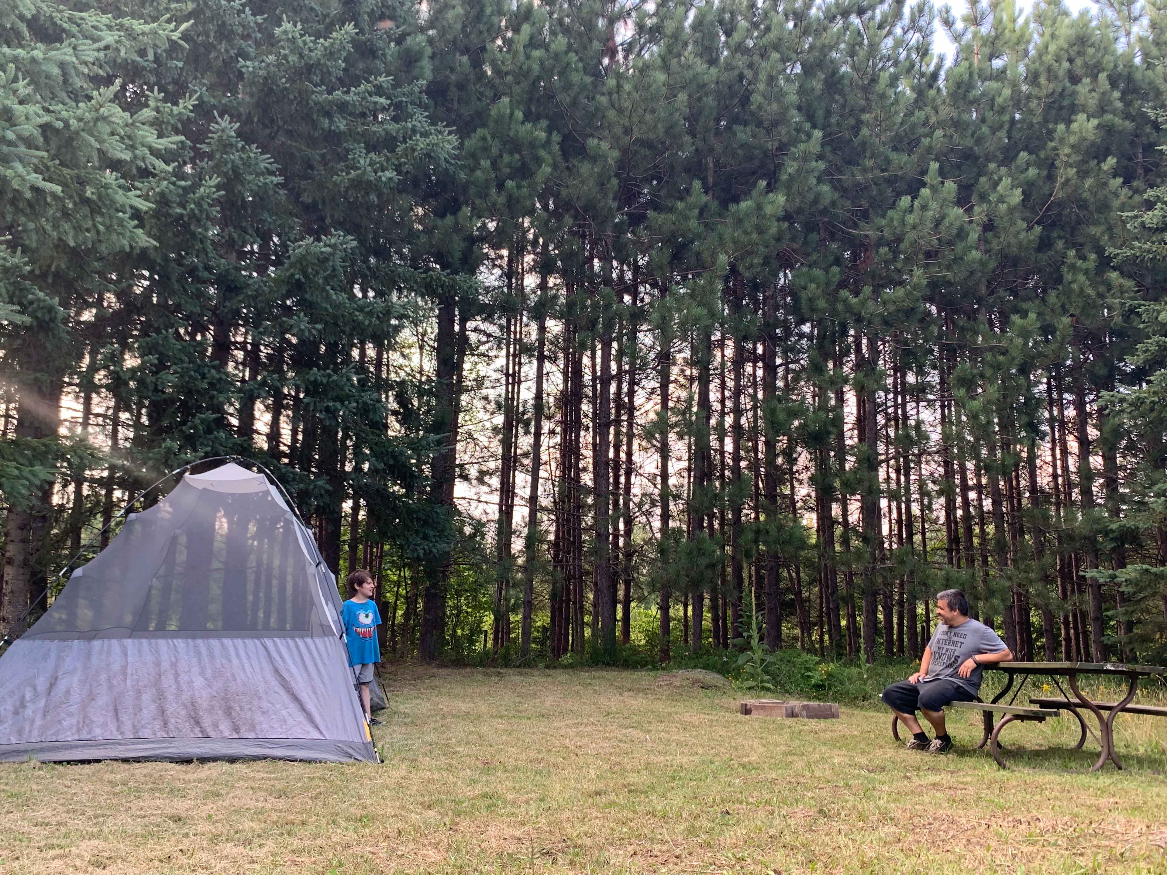 Site 3 - Barn View - lots of sunshine in this wide-open space surrounded by spruce and pine trees. Most likely to receive visits from farm animals at this site!