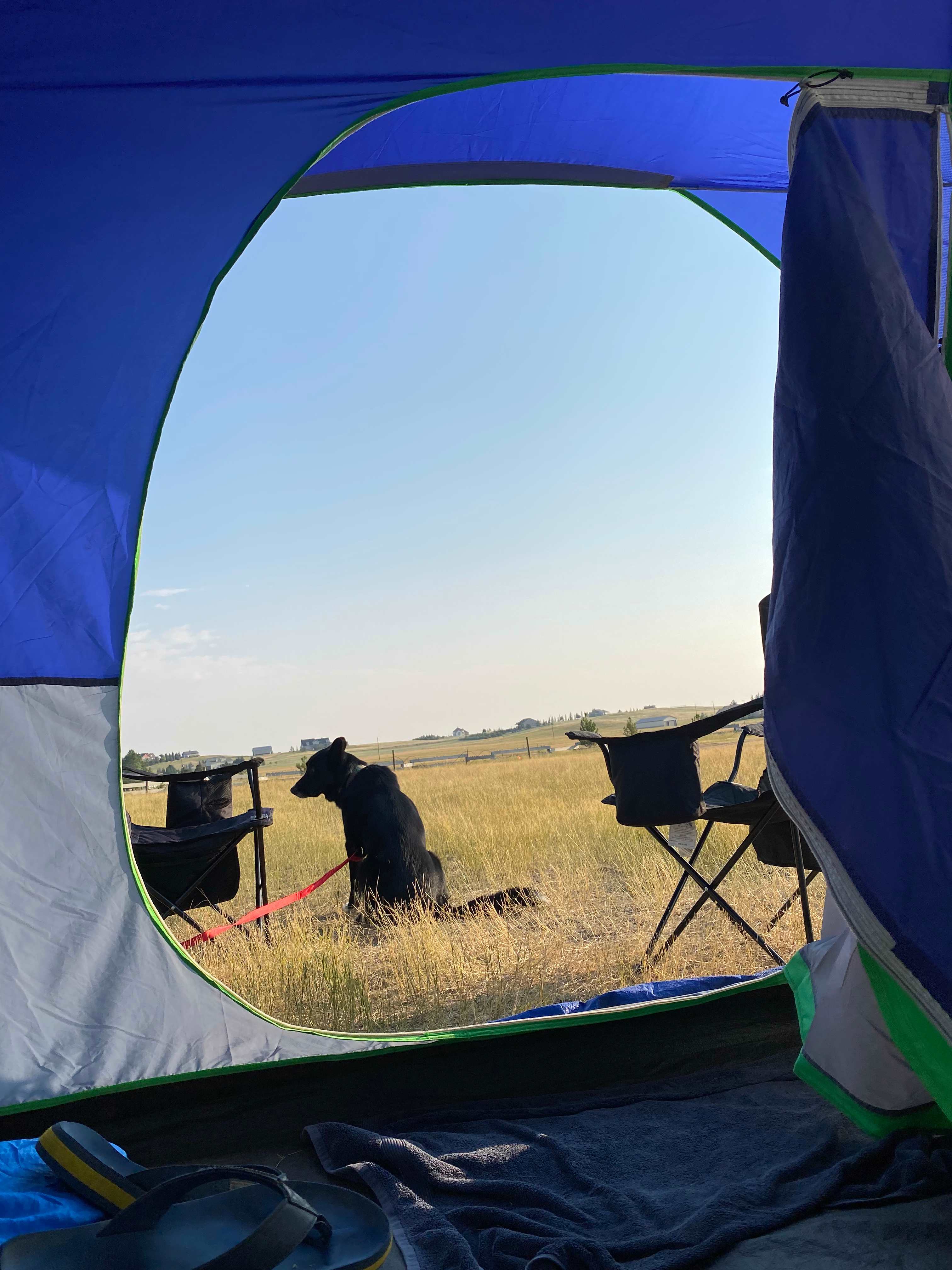 See #Last Chance Camp, Cheyenne