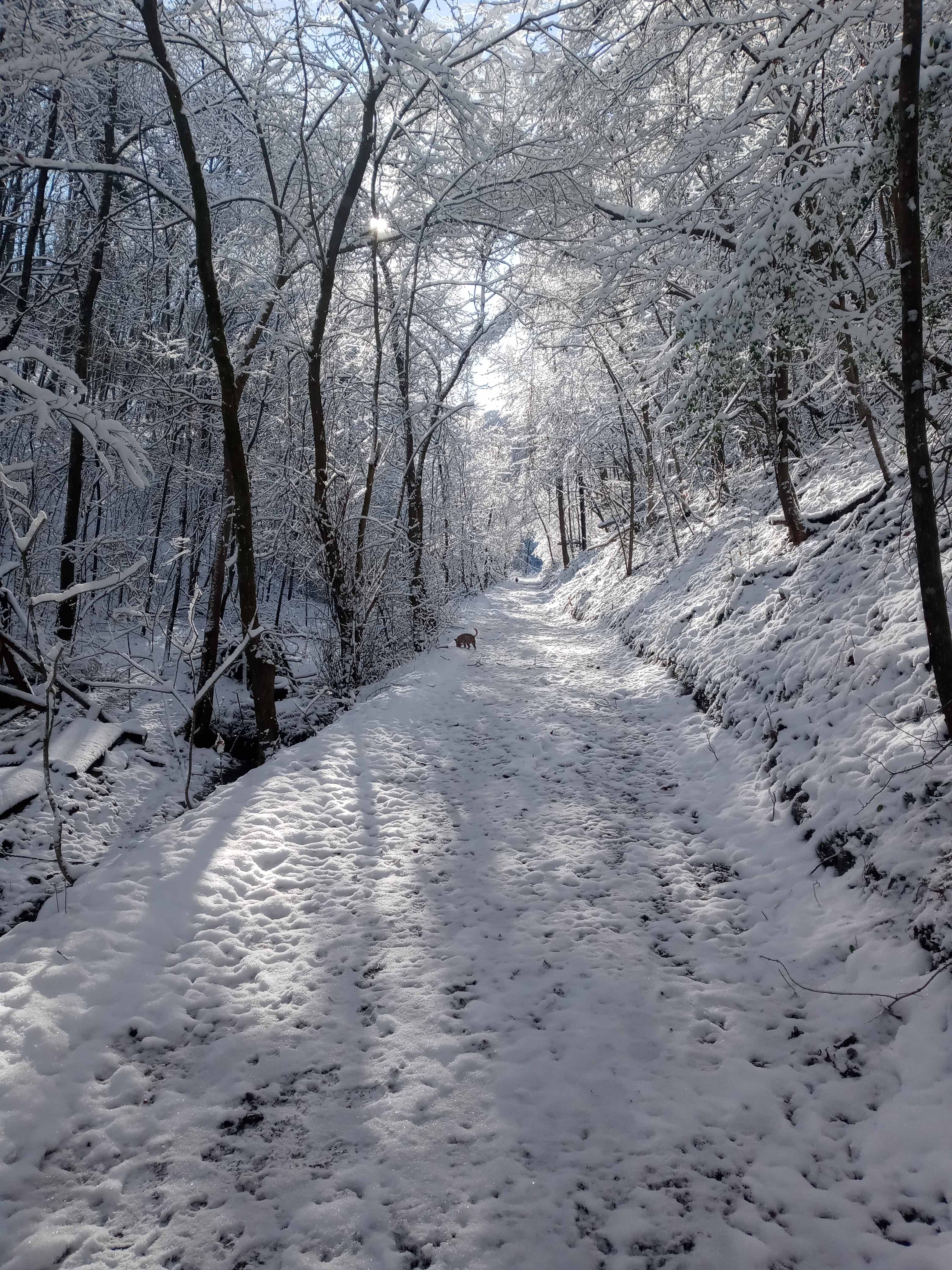 Winter fun!!