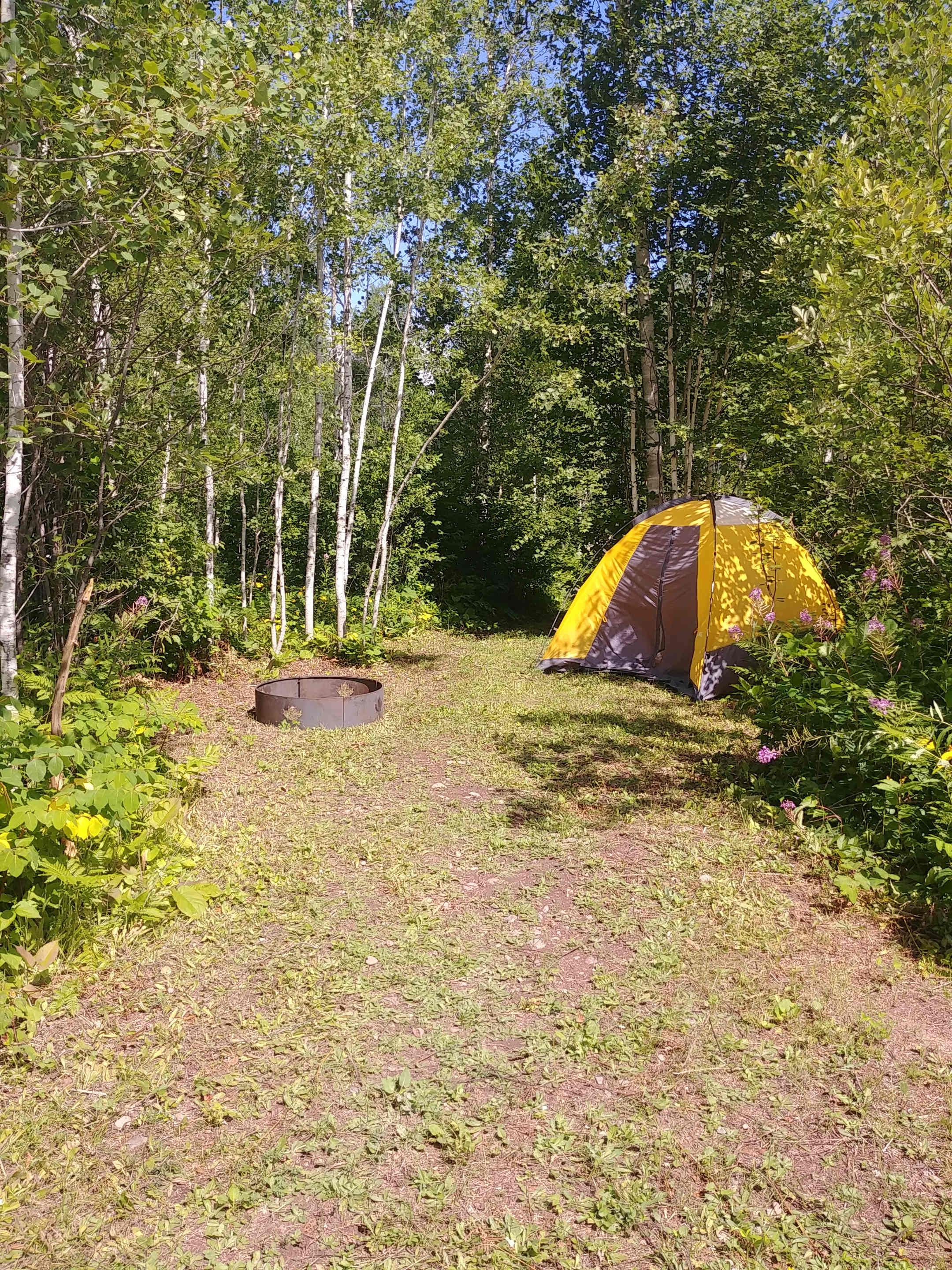Picture of the site