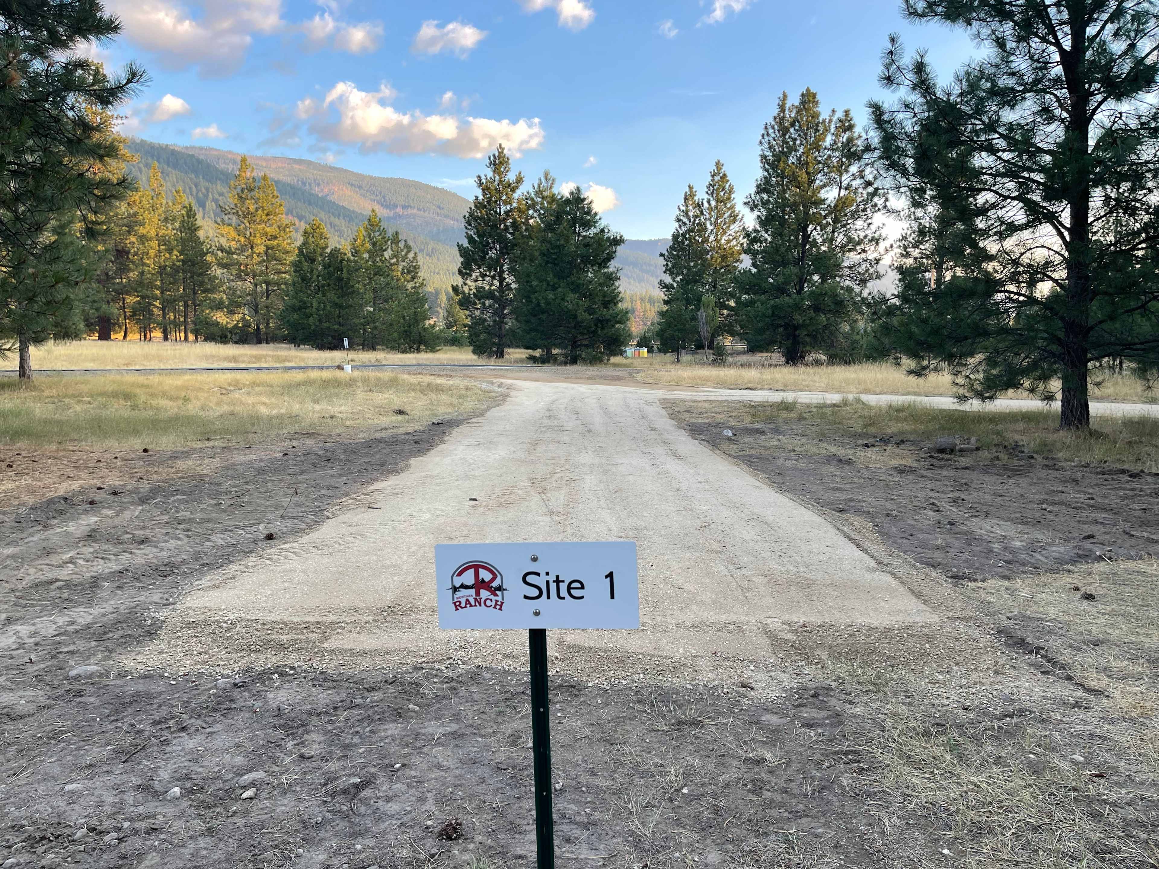 Picture of the site