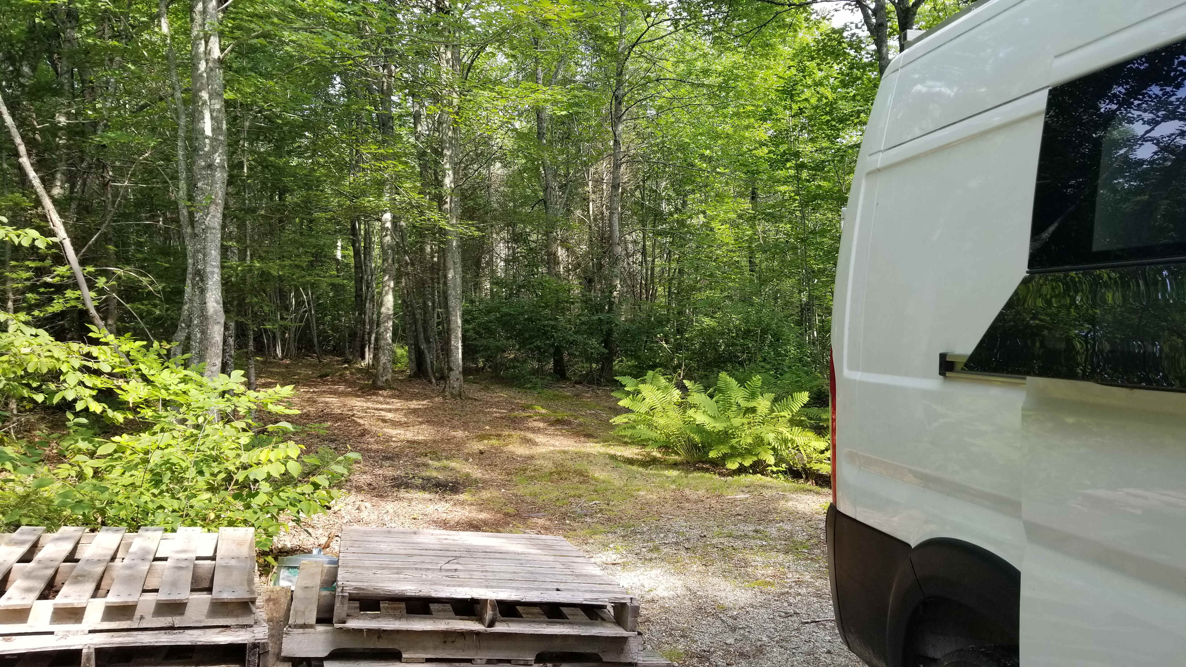Peninsula Links Campsite