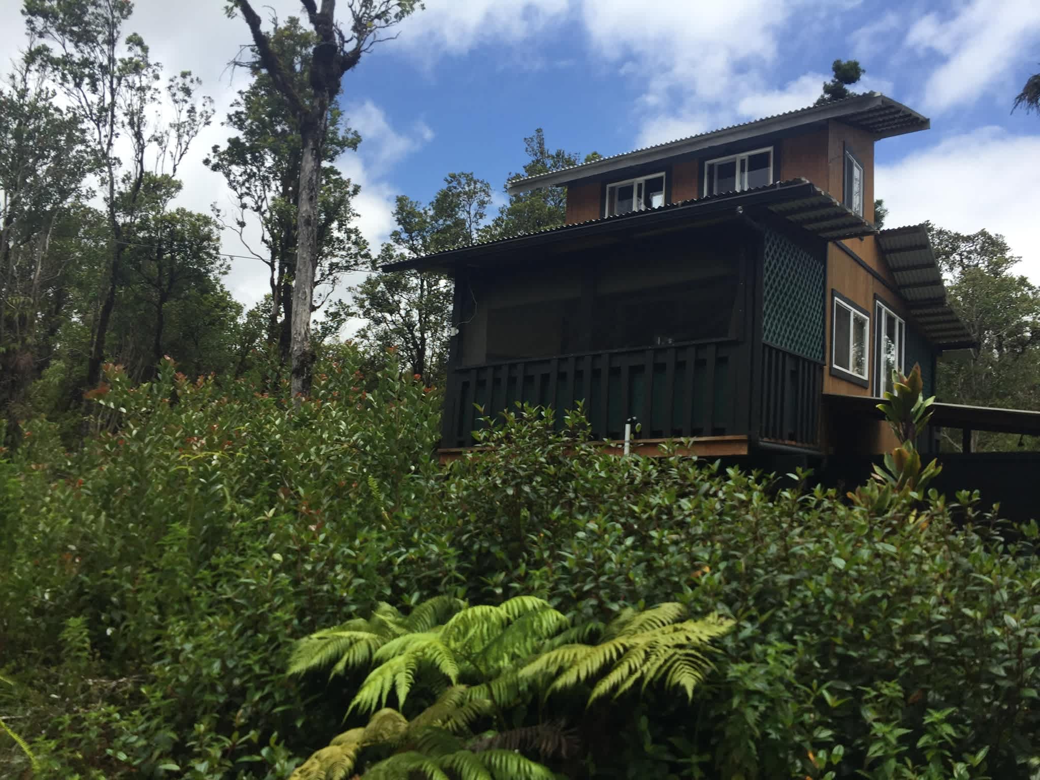 Treehouse from the parking area