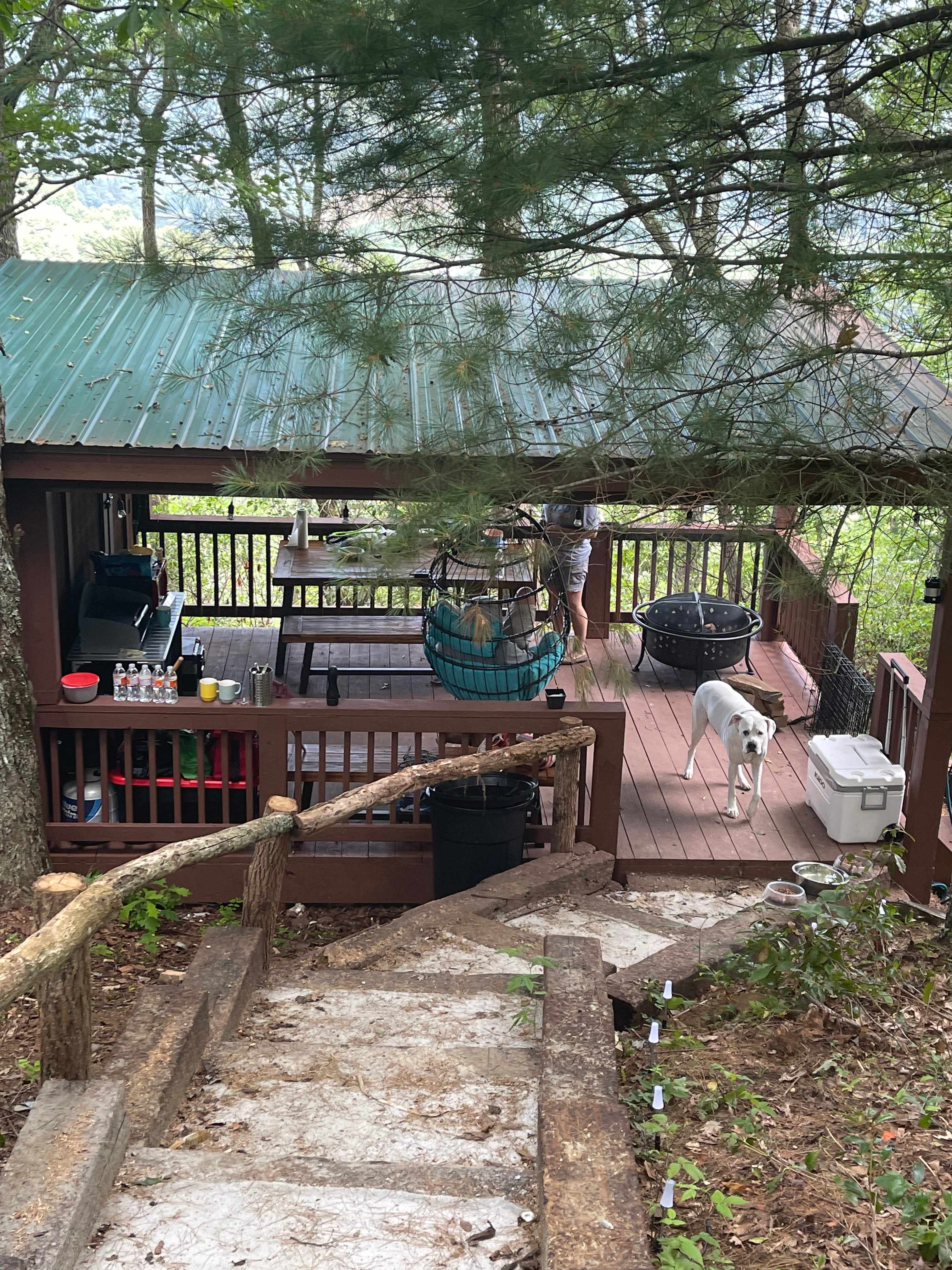 Picture of the site