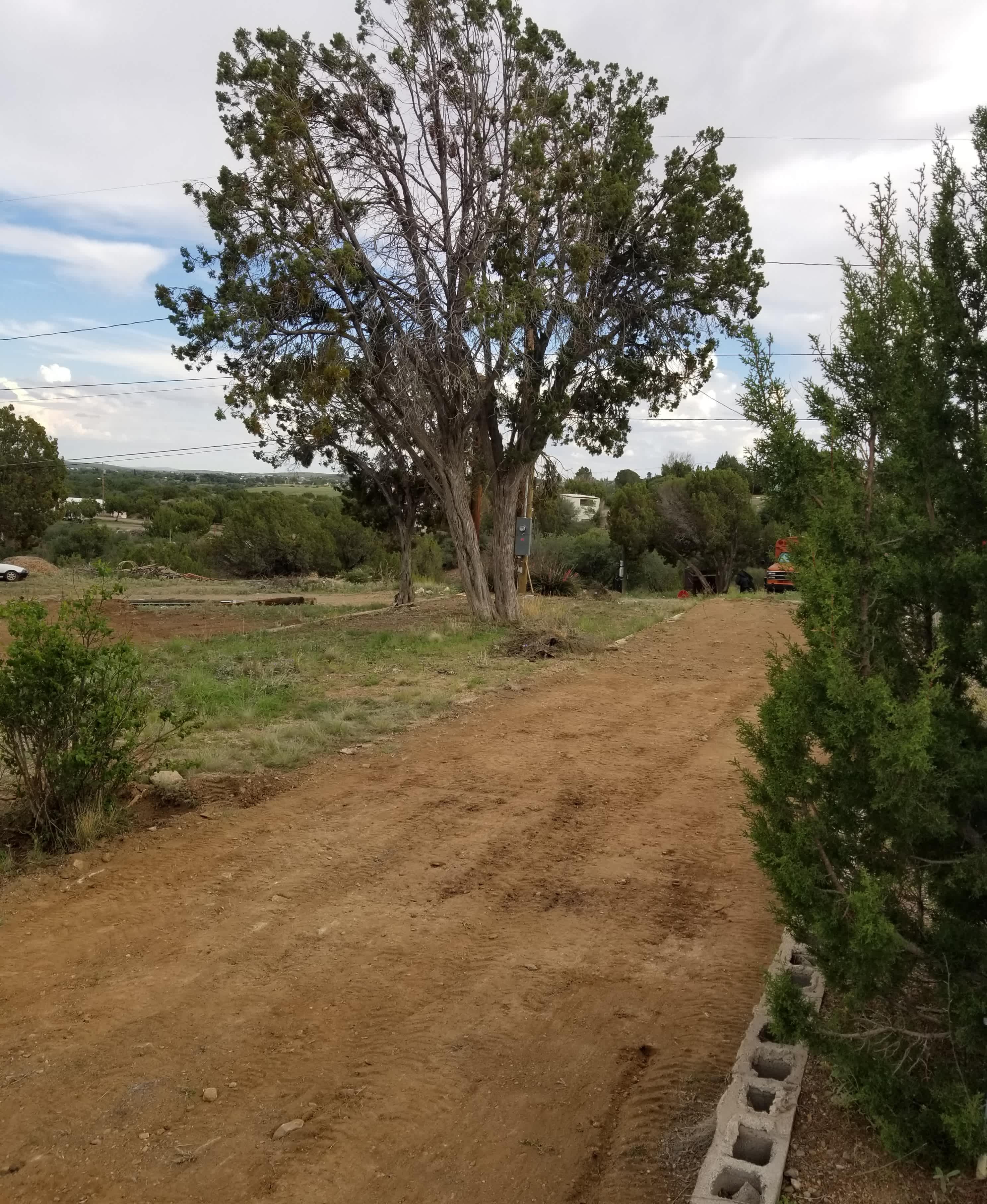 Picture of the site