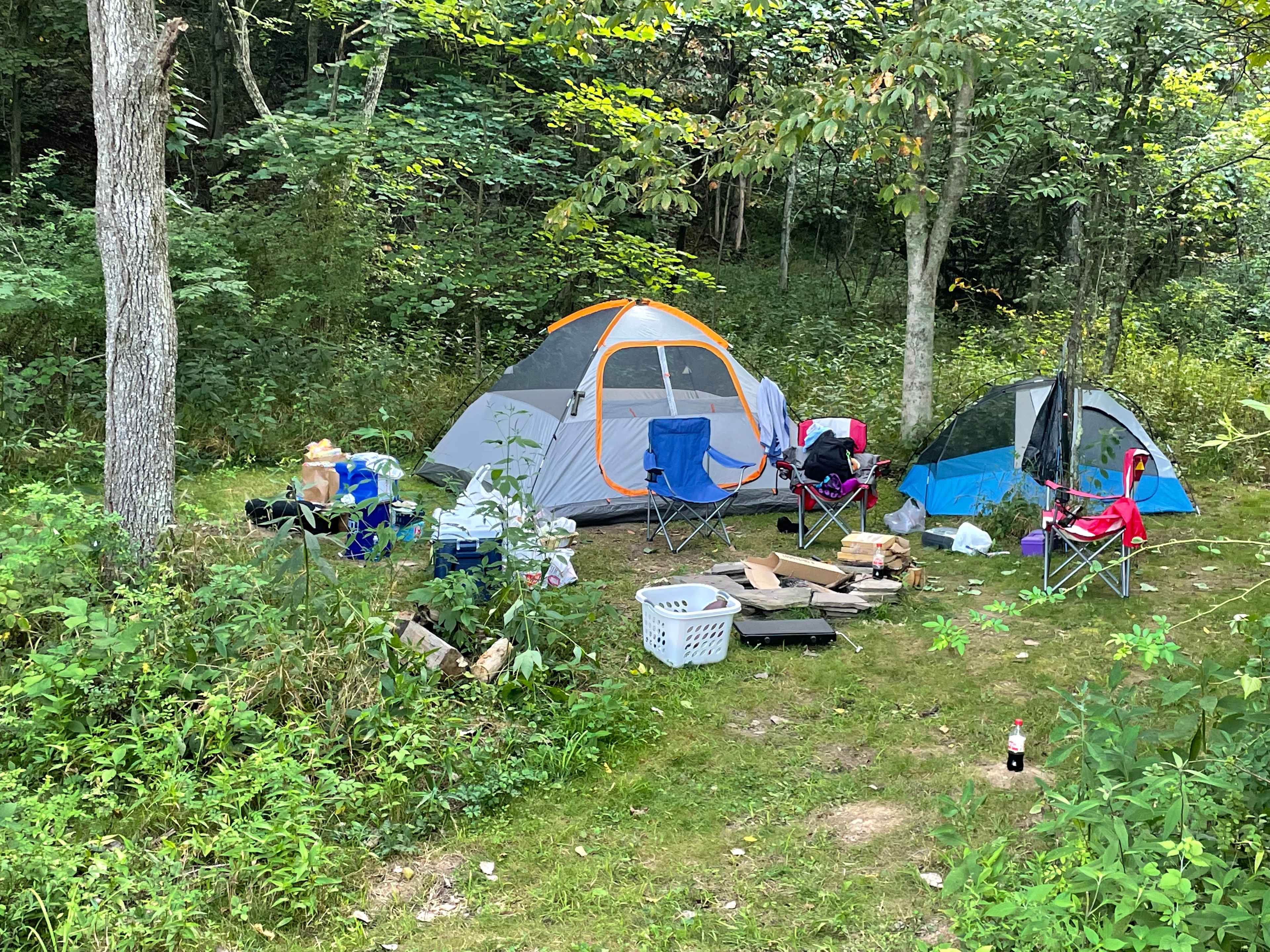 Picture of the site