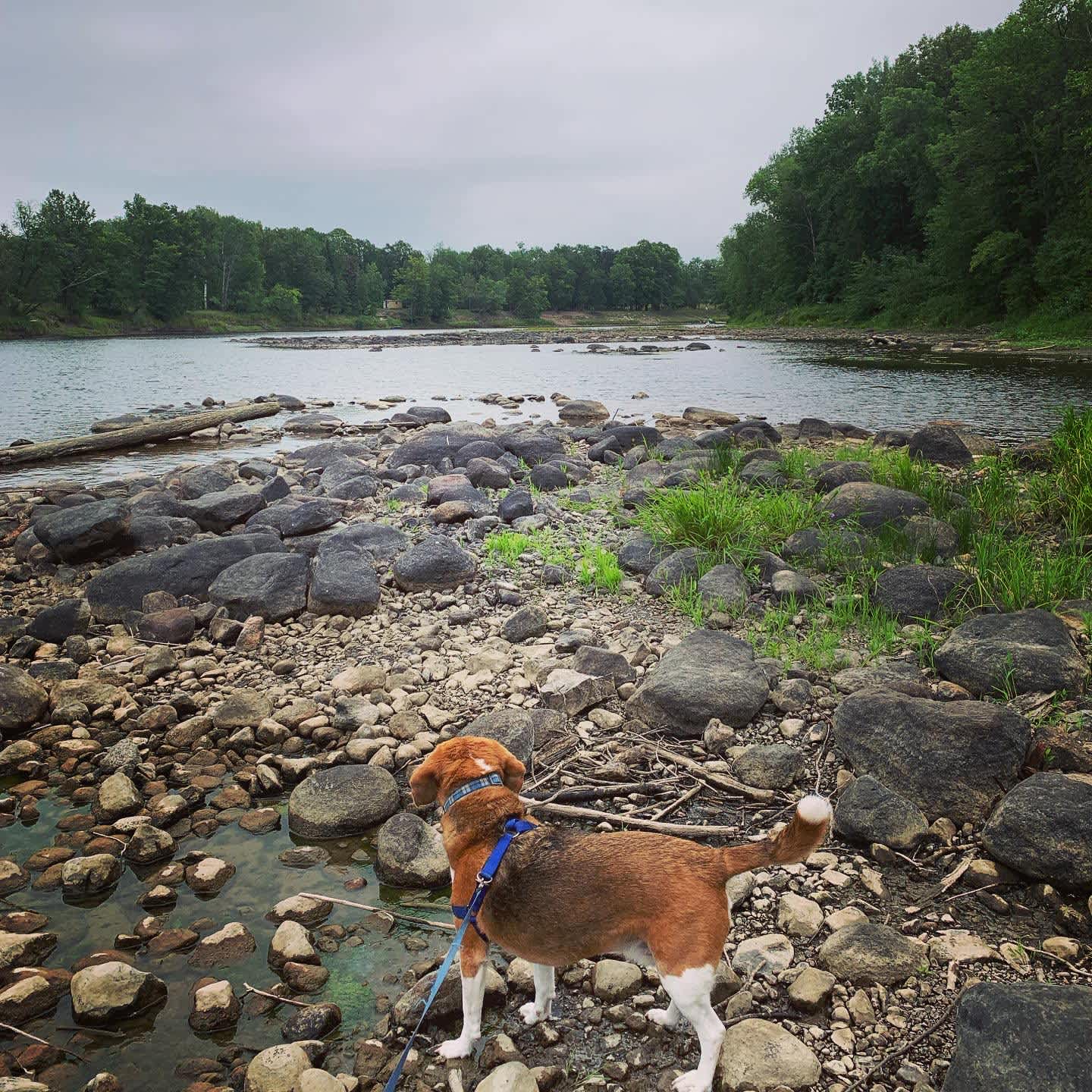 Floodwood Municipal Campground