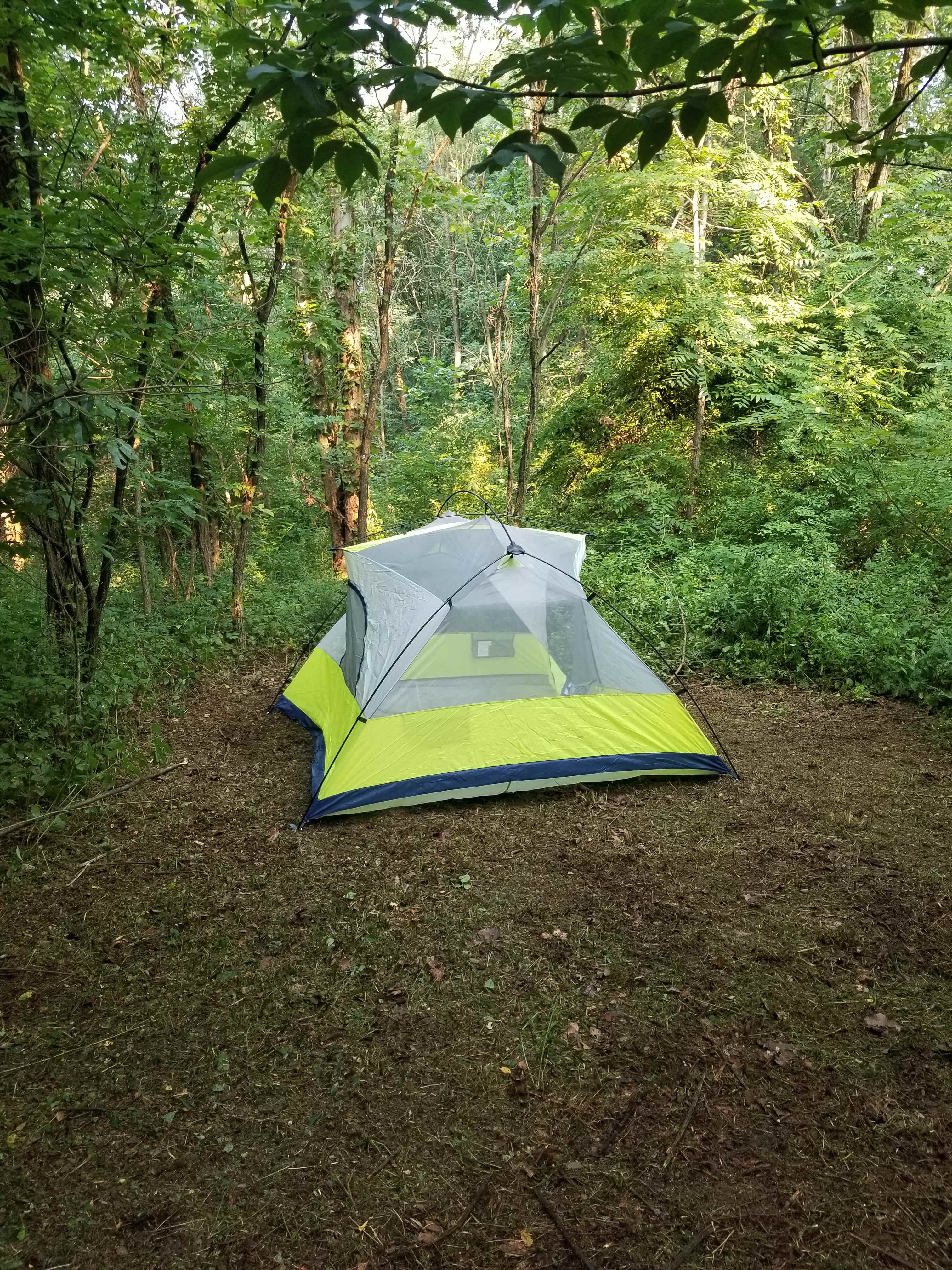 Squatch Hills