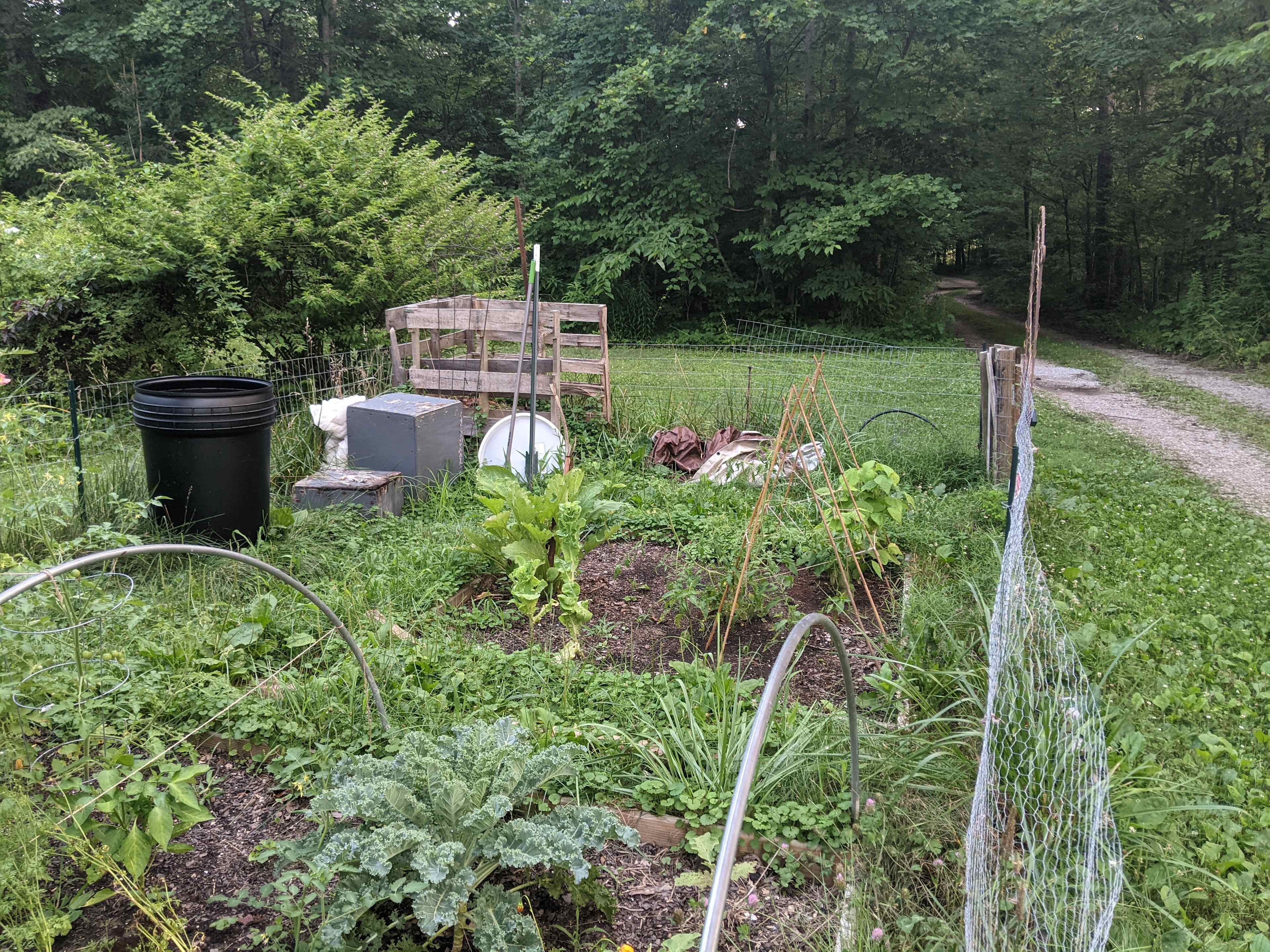Let us know if you would like to grab produce from one of our garden beds.