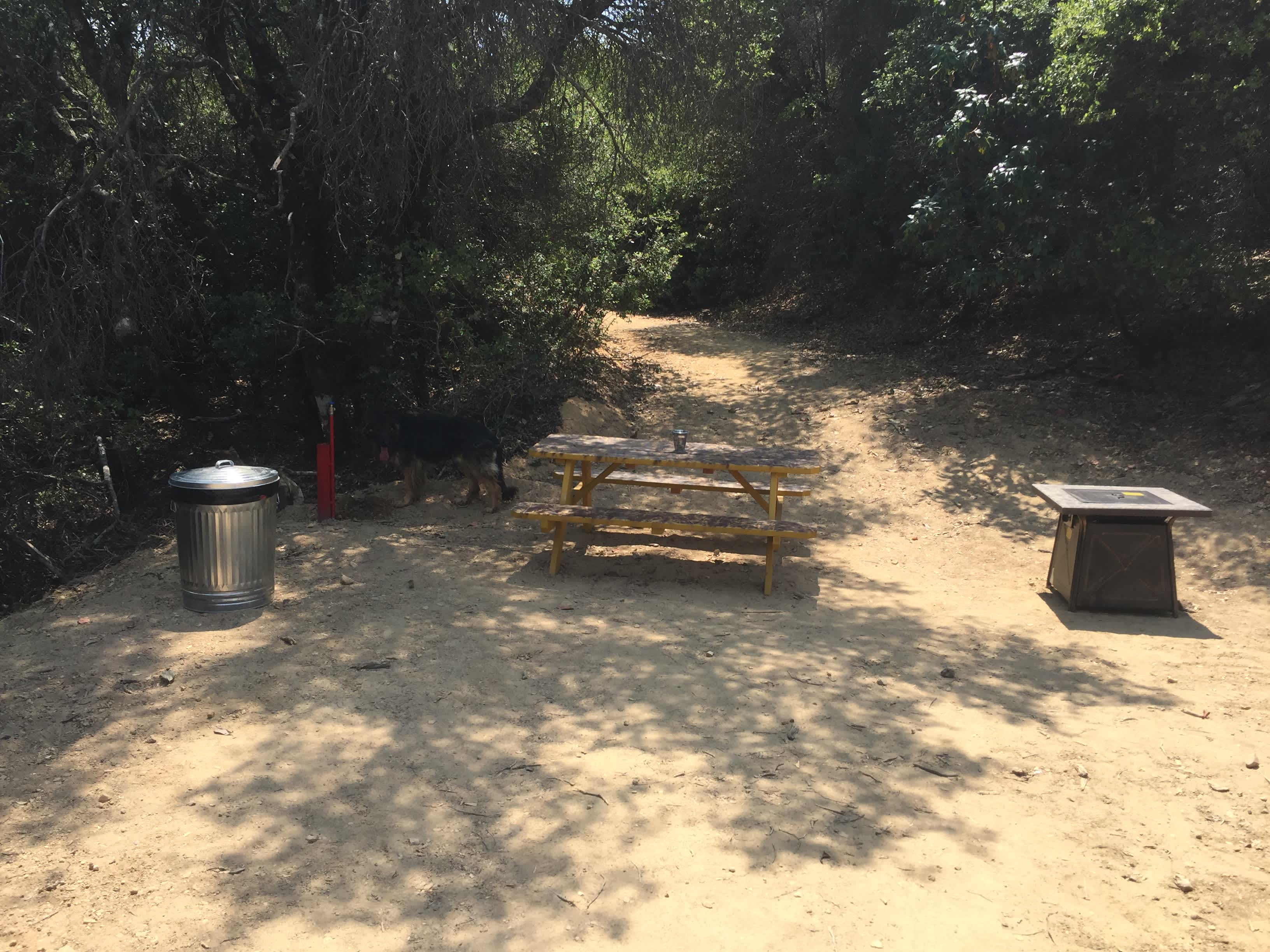Picture of the site