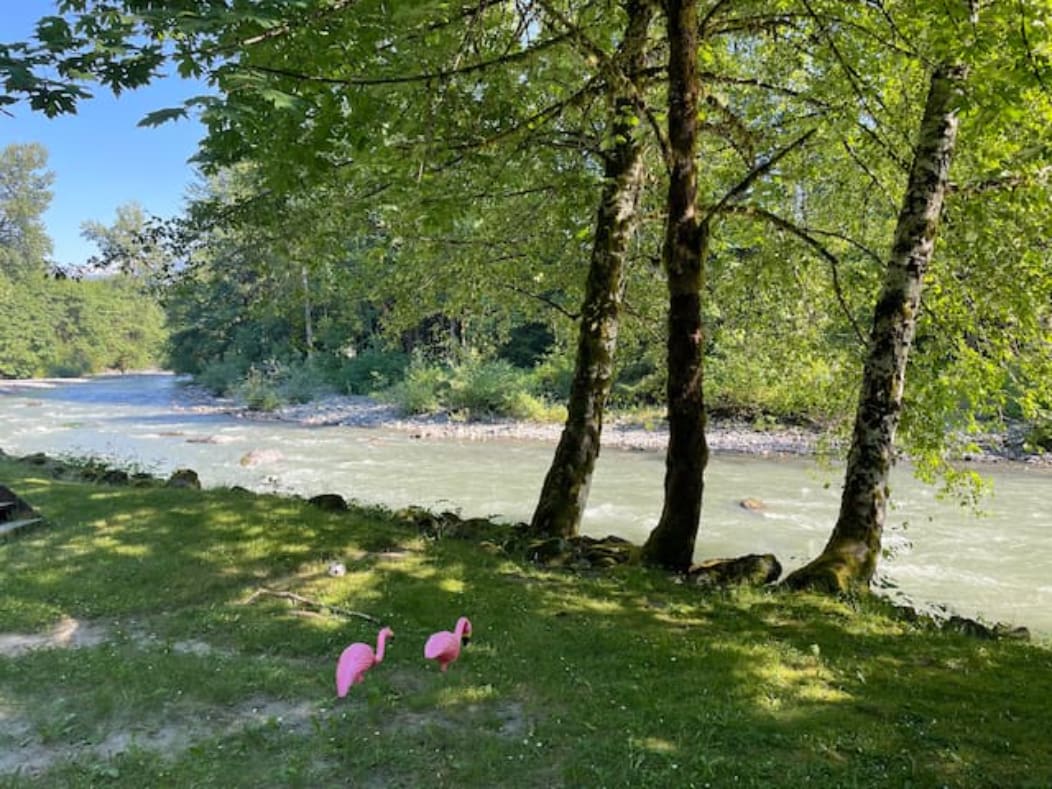 Chad B.’s River Oasis