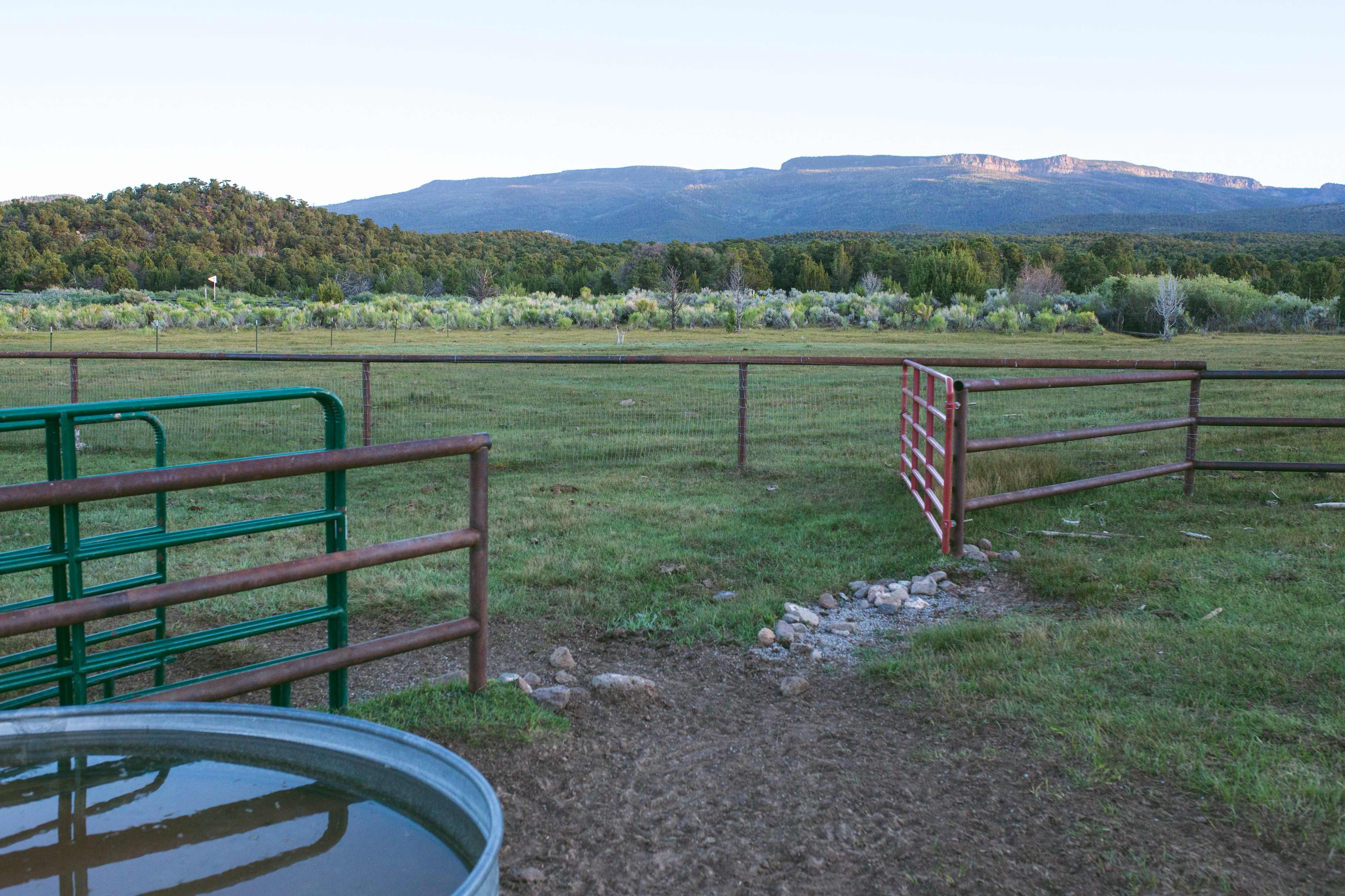 A large portion of Zach's land is rented to a cattle rancher! 