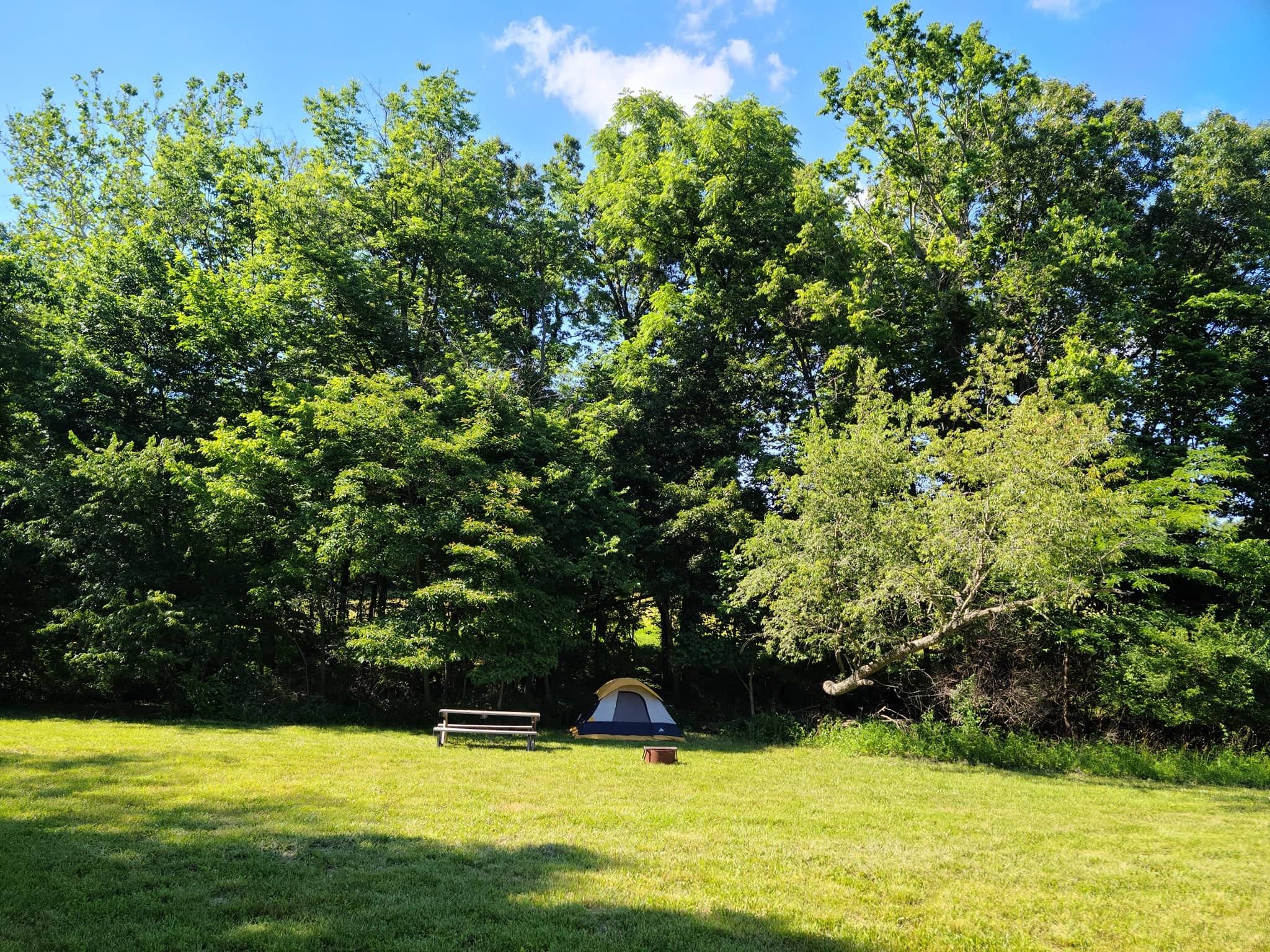 Picture of the site
