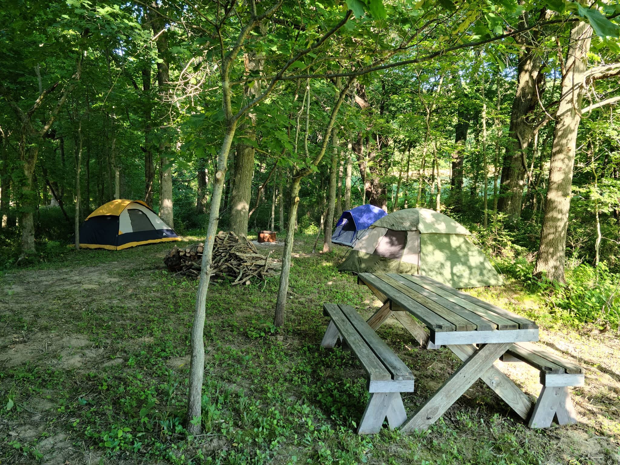 Picture of the site