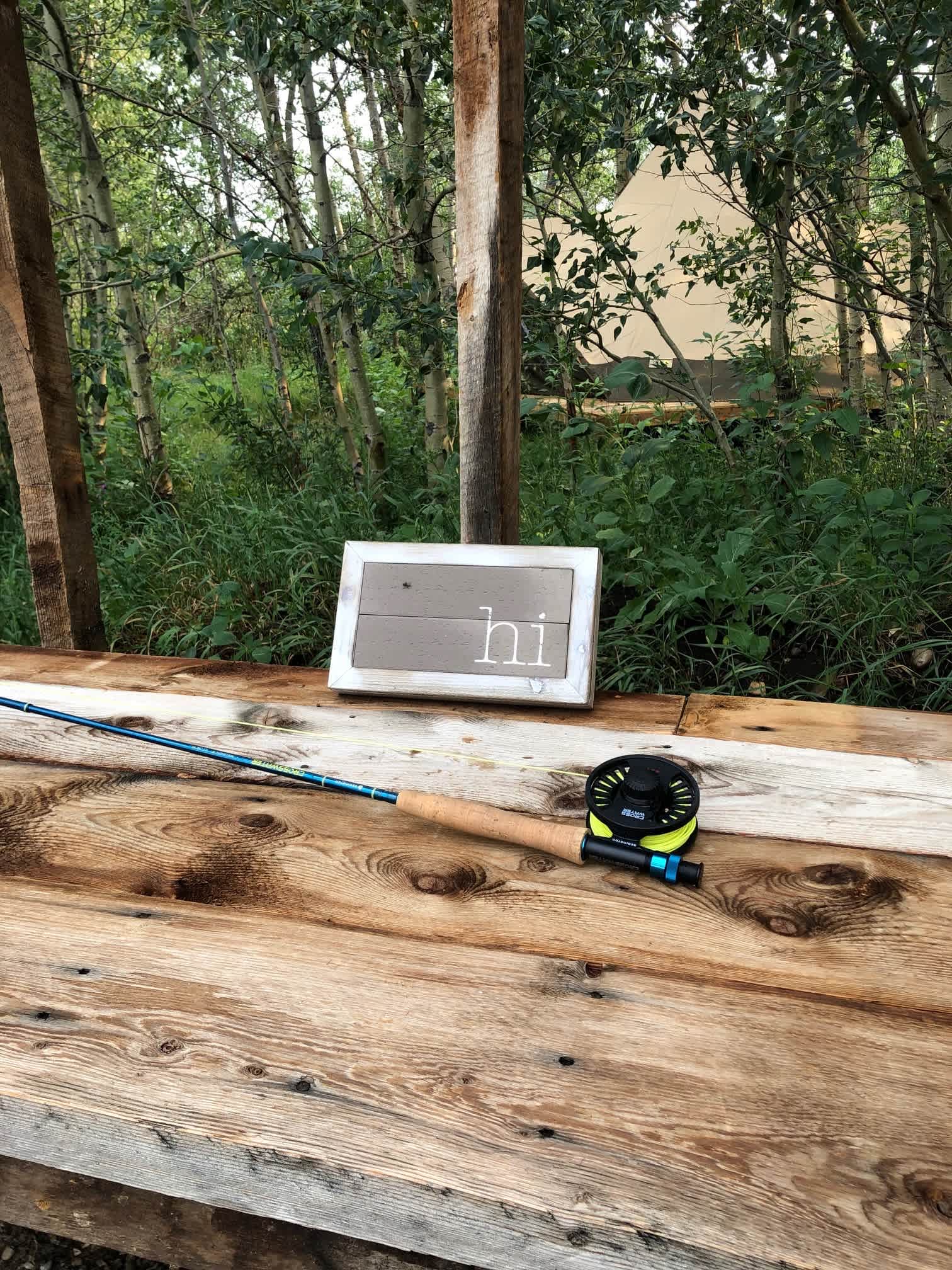 Picture of the site