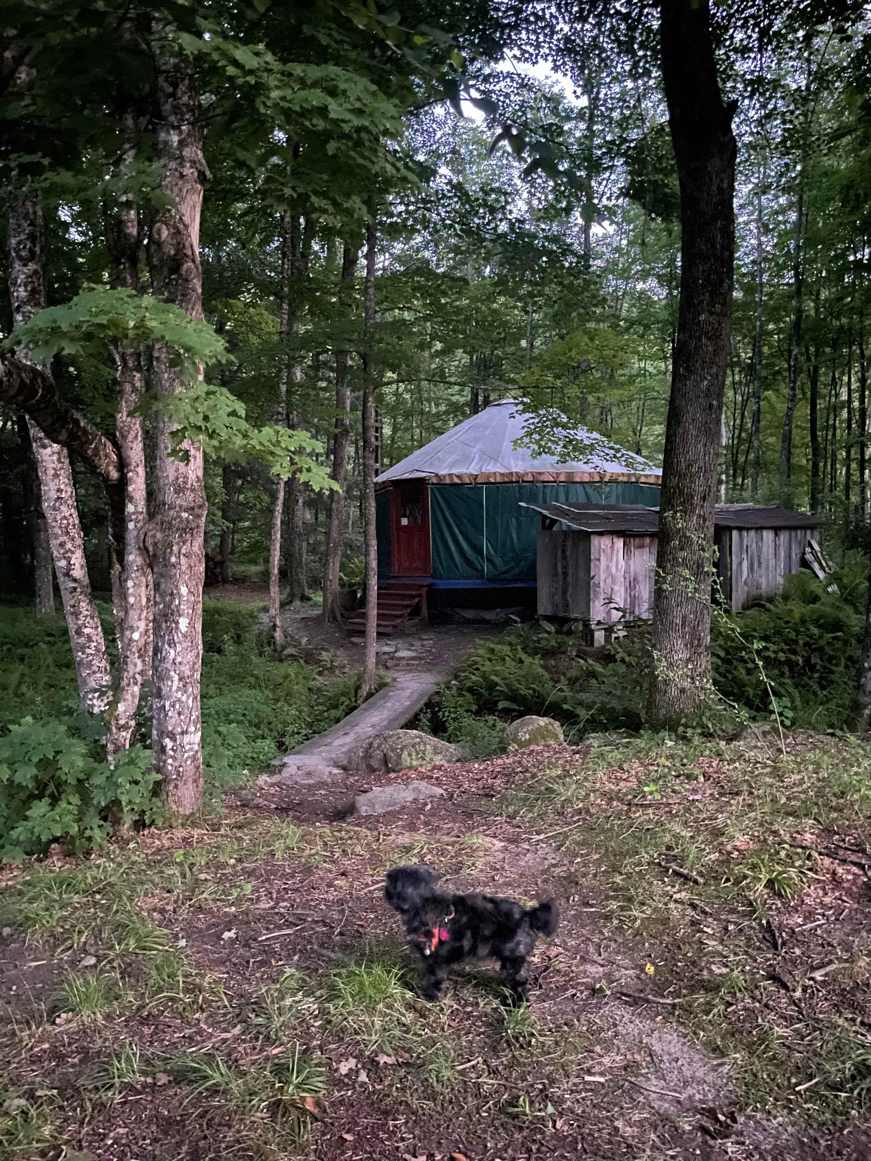 To the yurt!