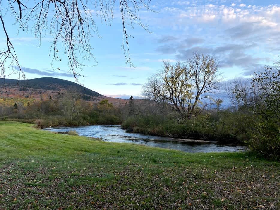 Should you fly fish or canoe today?