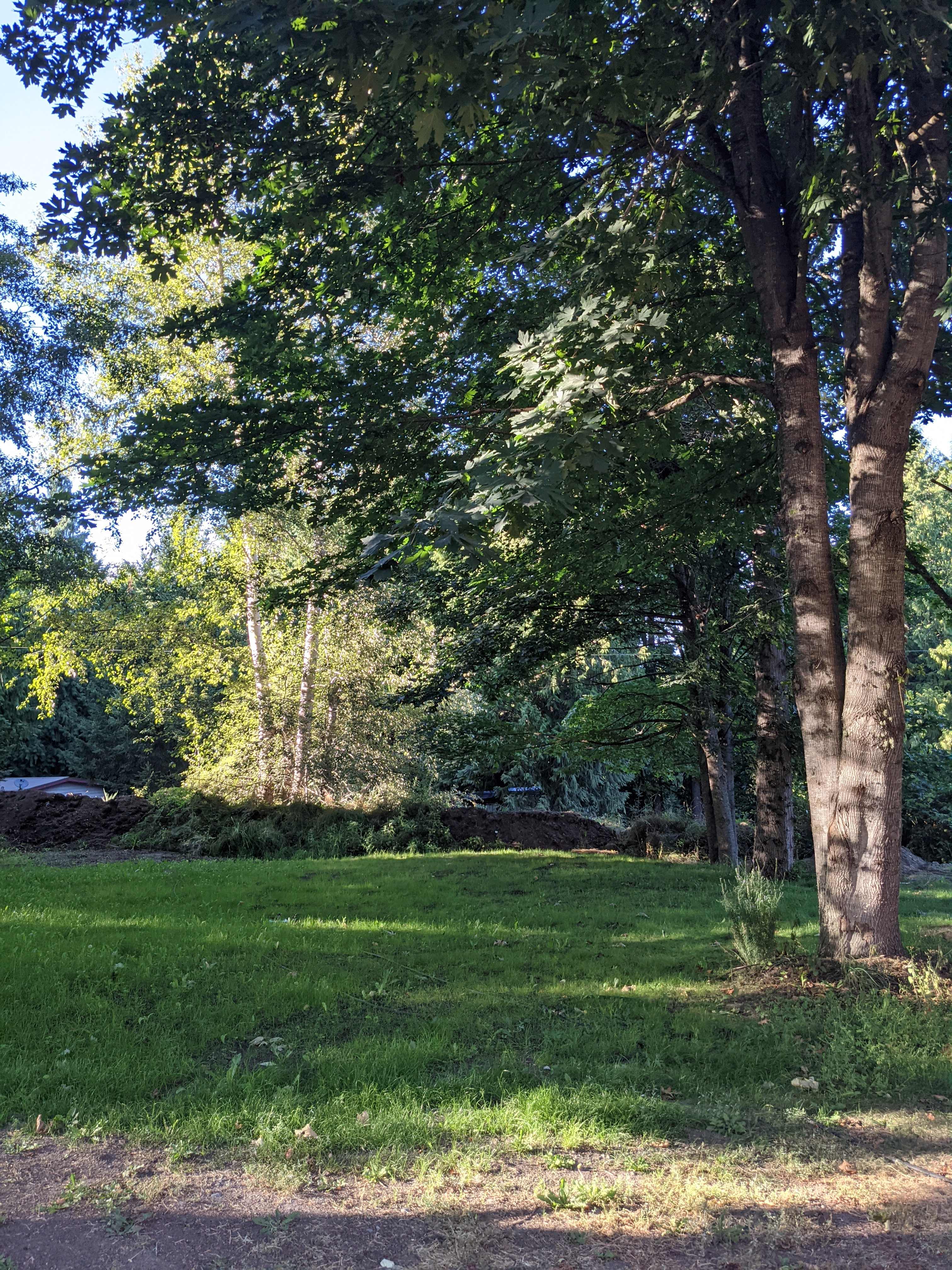 Dan's Green Acre