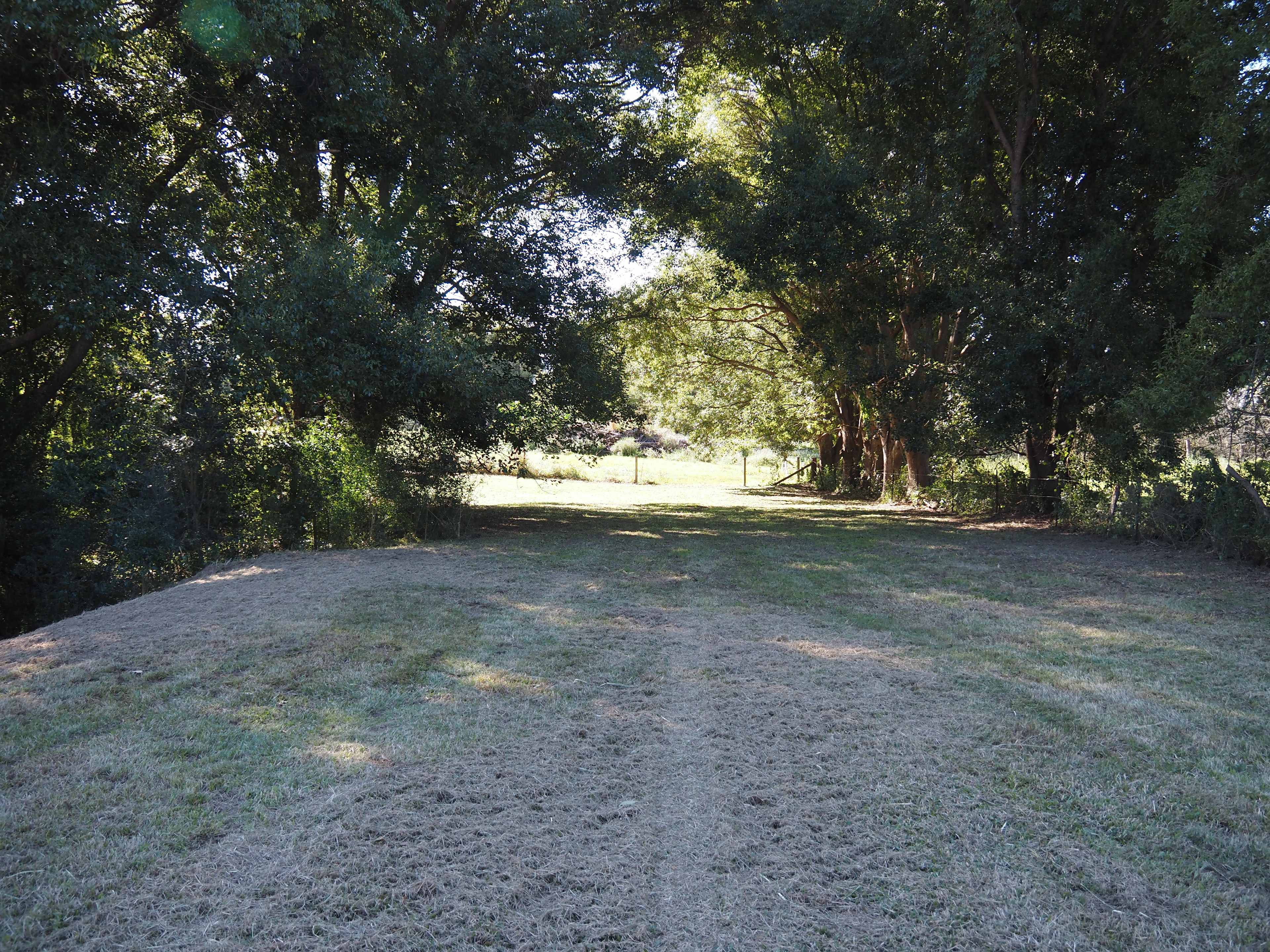 Site 5