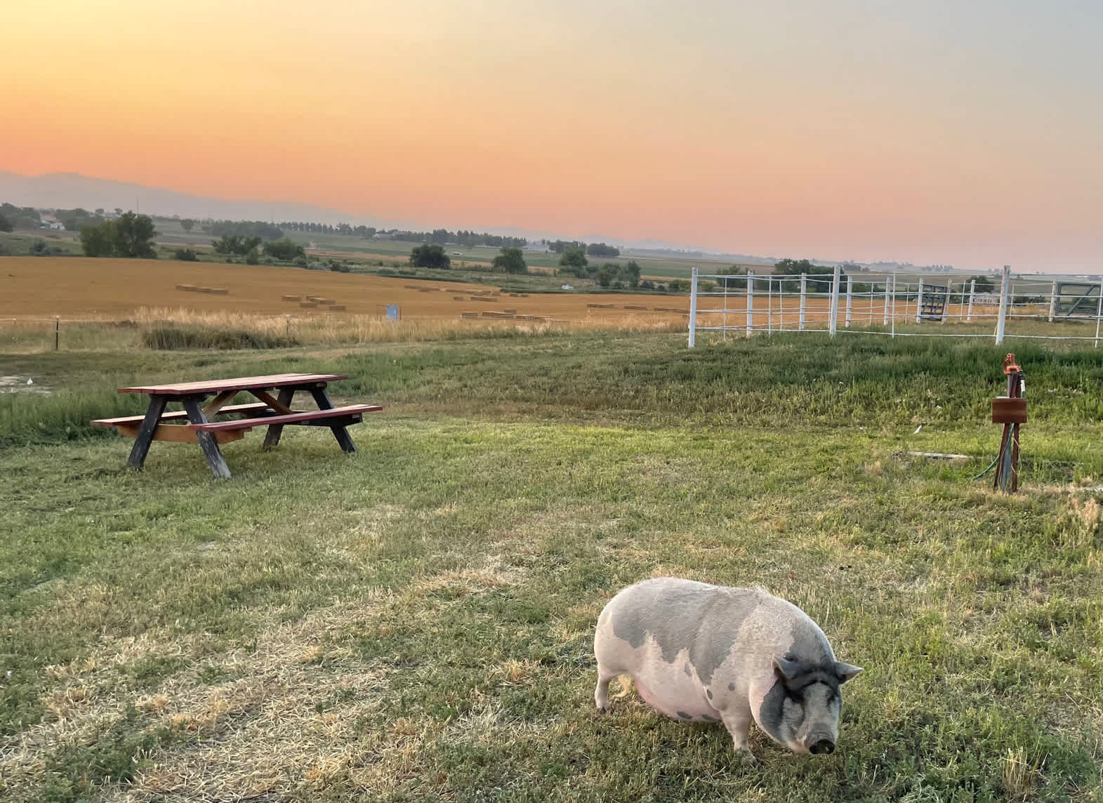 Mountain View Acres