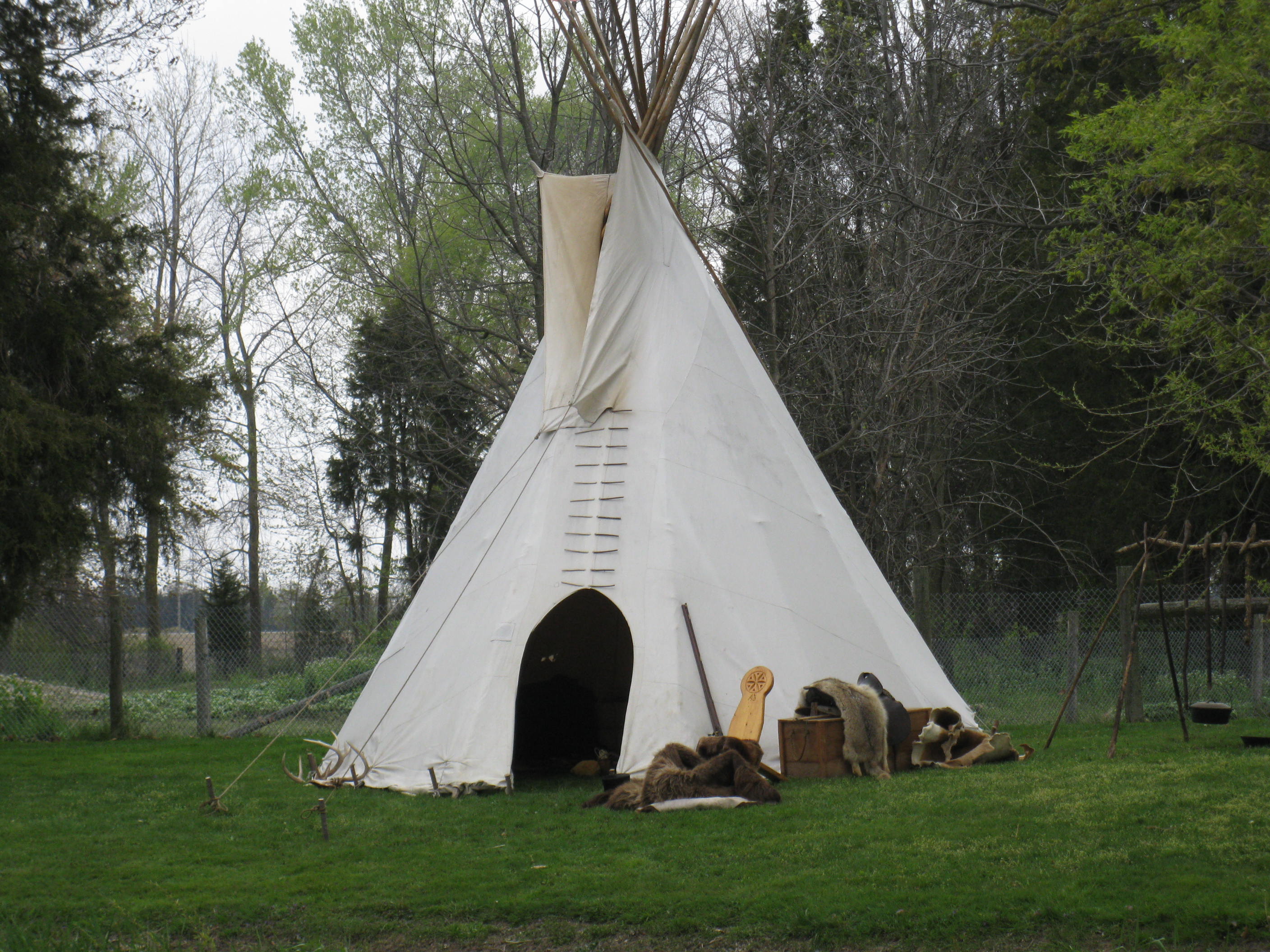 Picture of the site