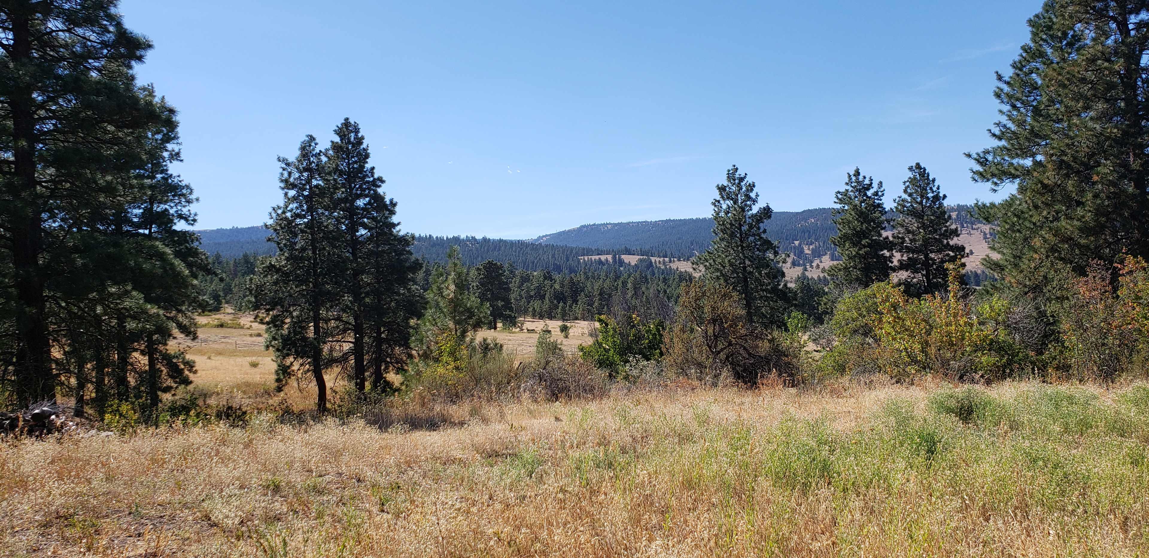 Colockum Wildlife Camp