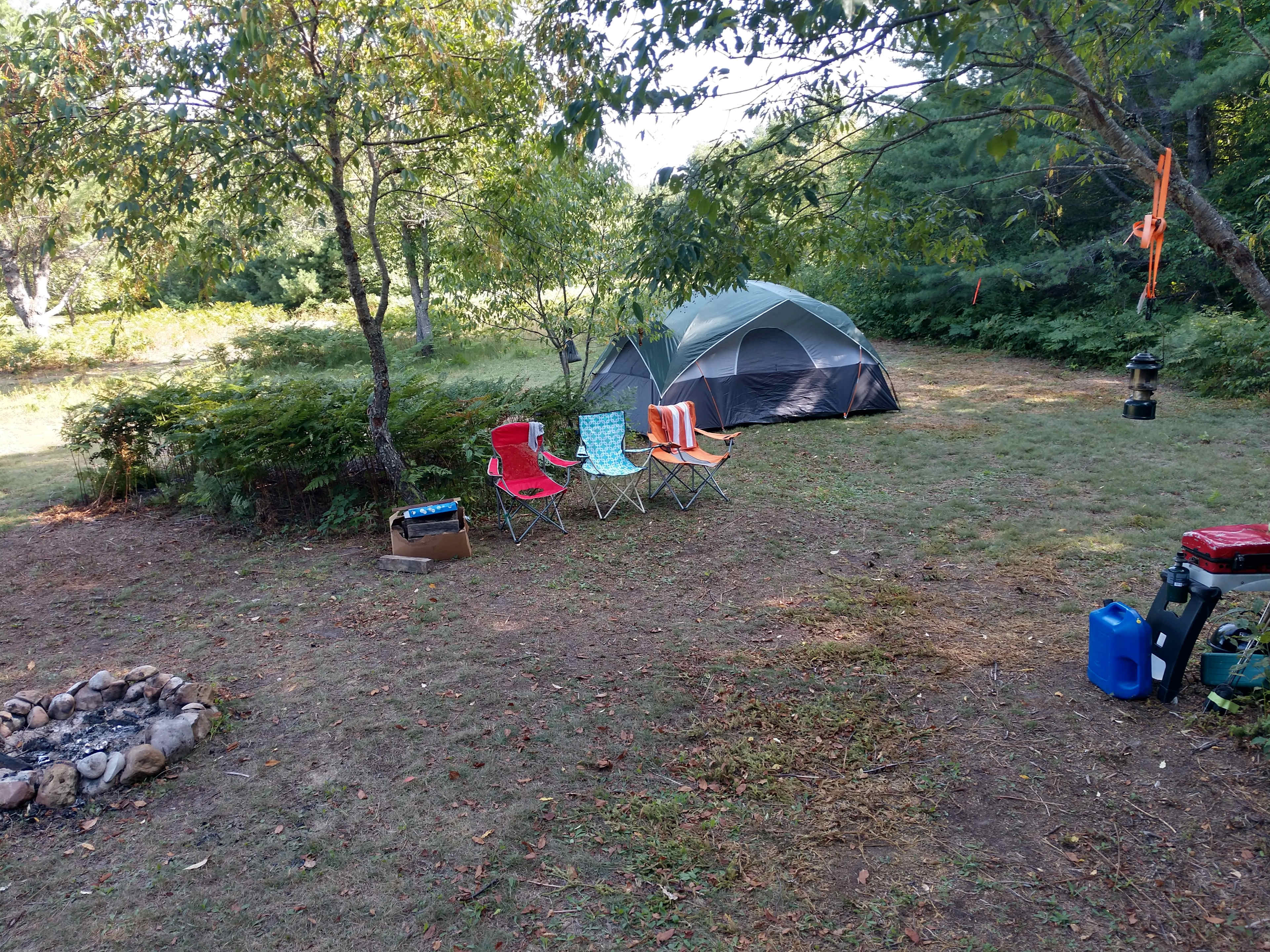 Picture of the site