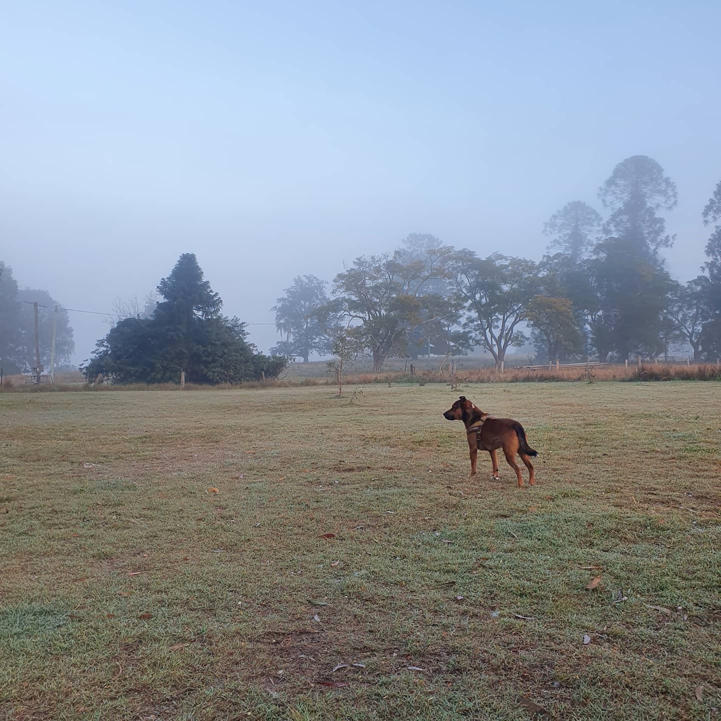 Logan Park Farm