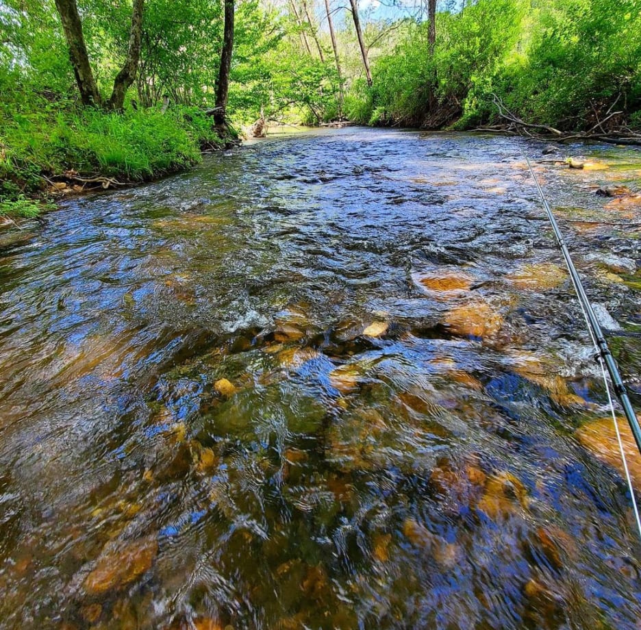 Rock Castle Creek fishing/ camping 