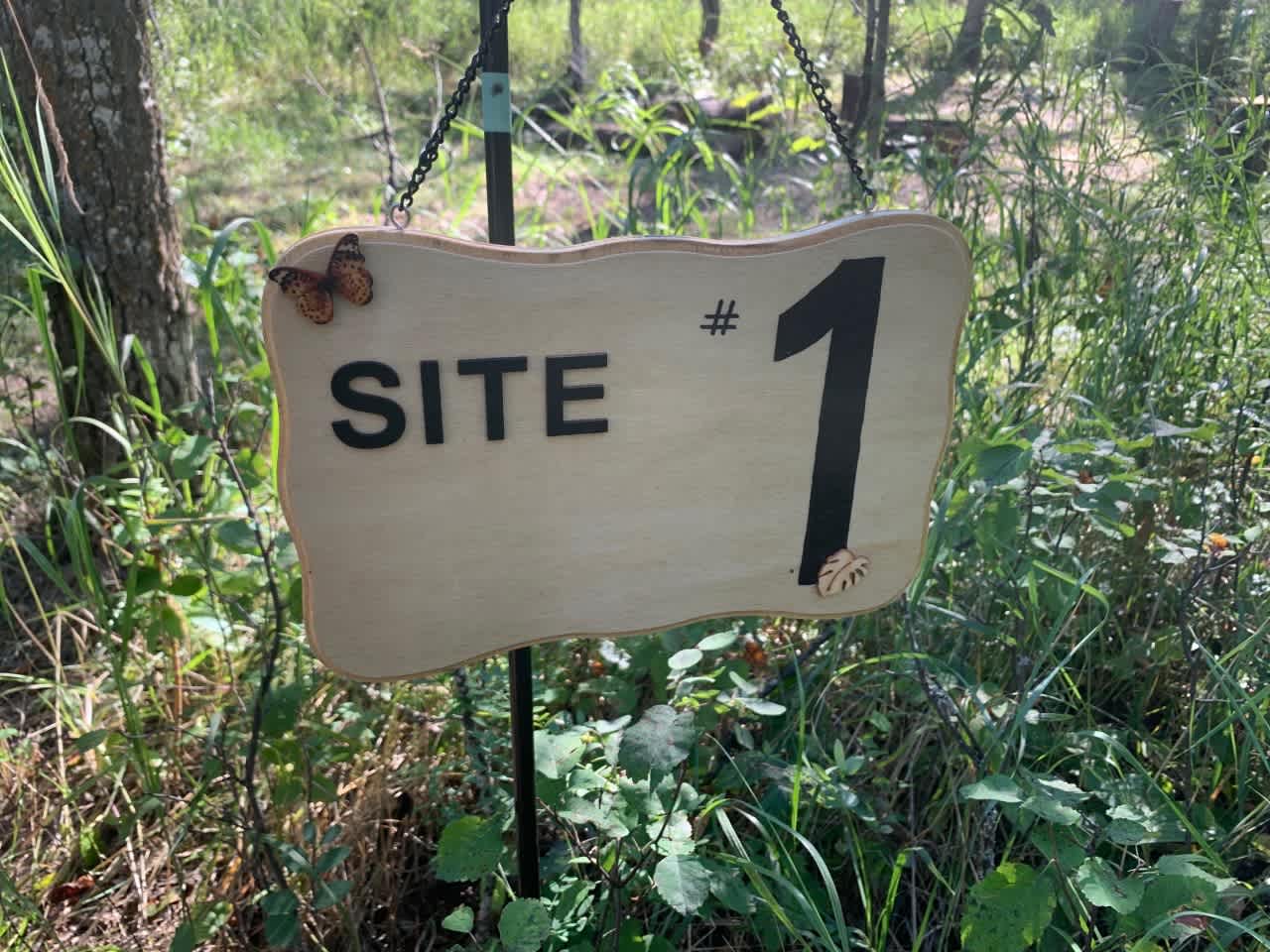 Picture of the site