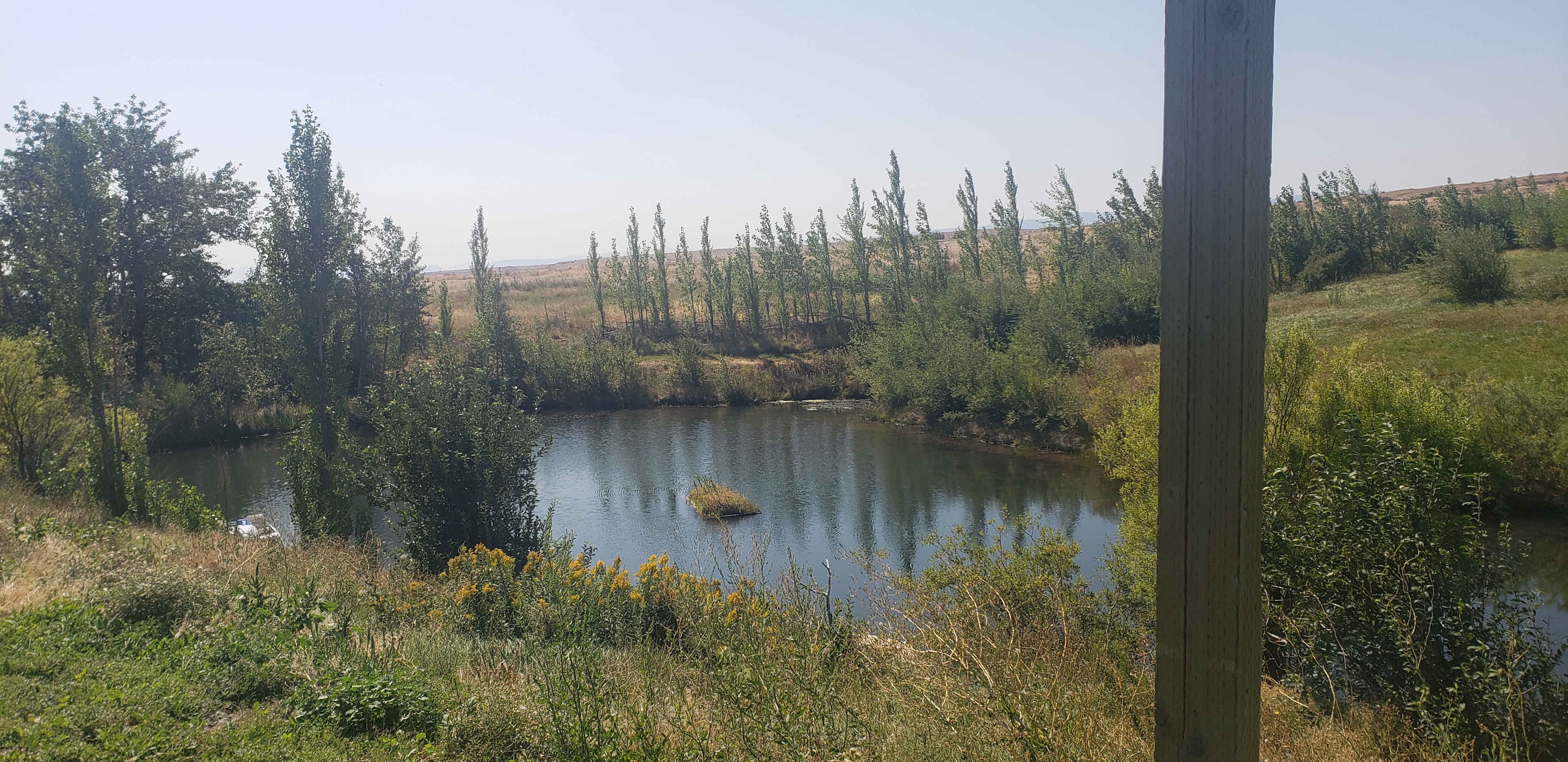 Picture of the site