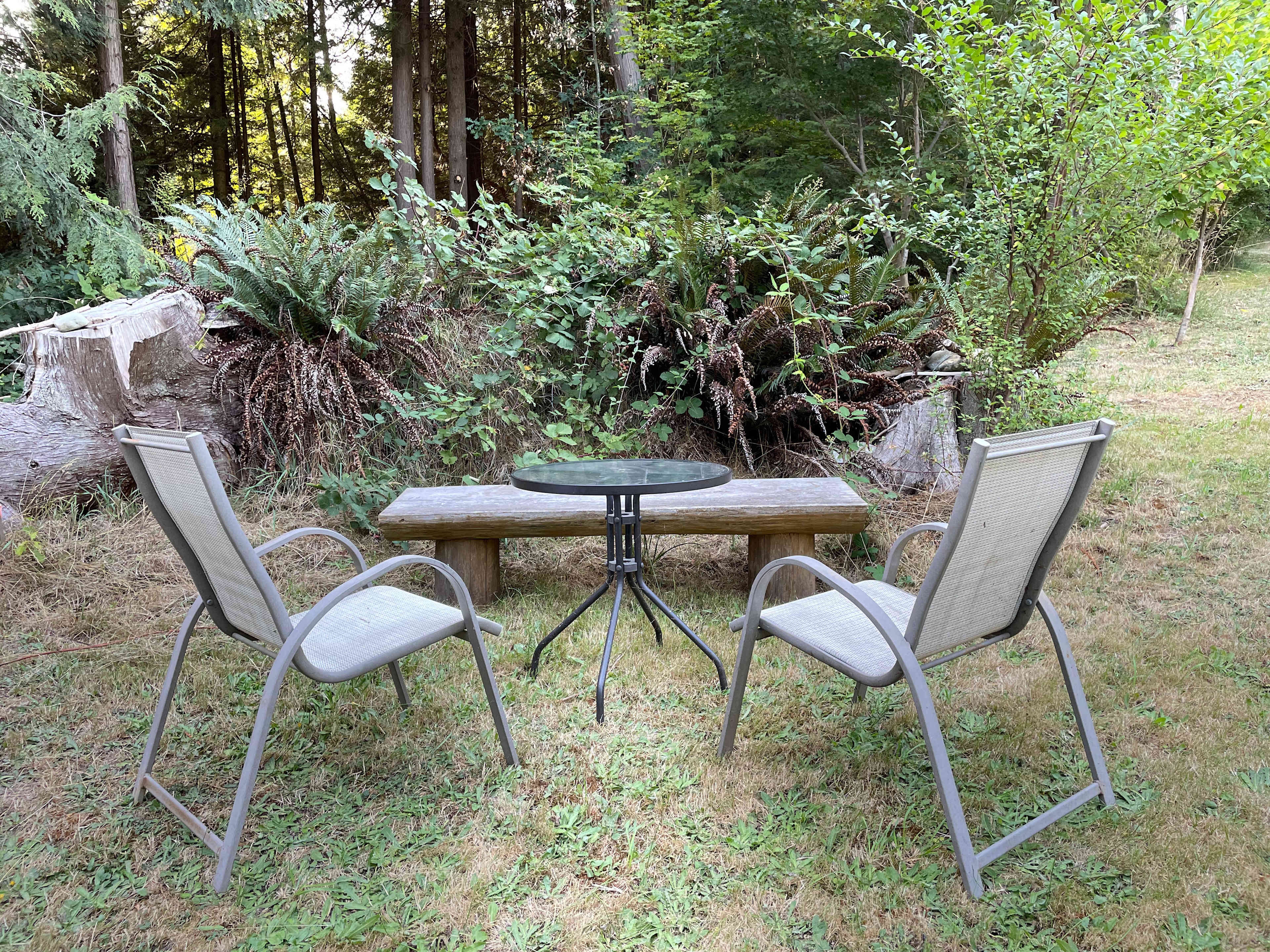 Orchard Forest Getaway