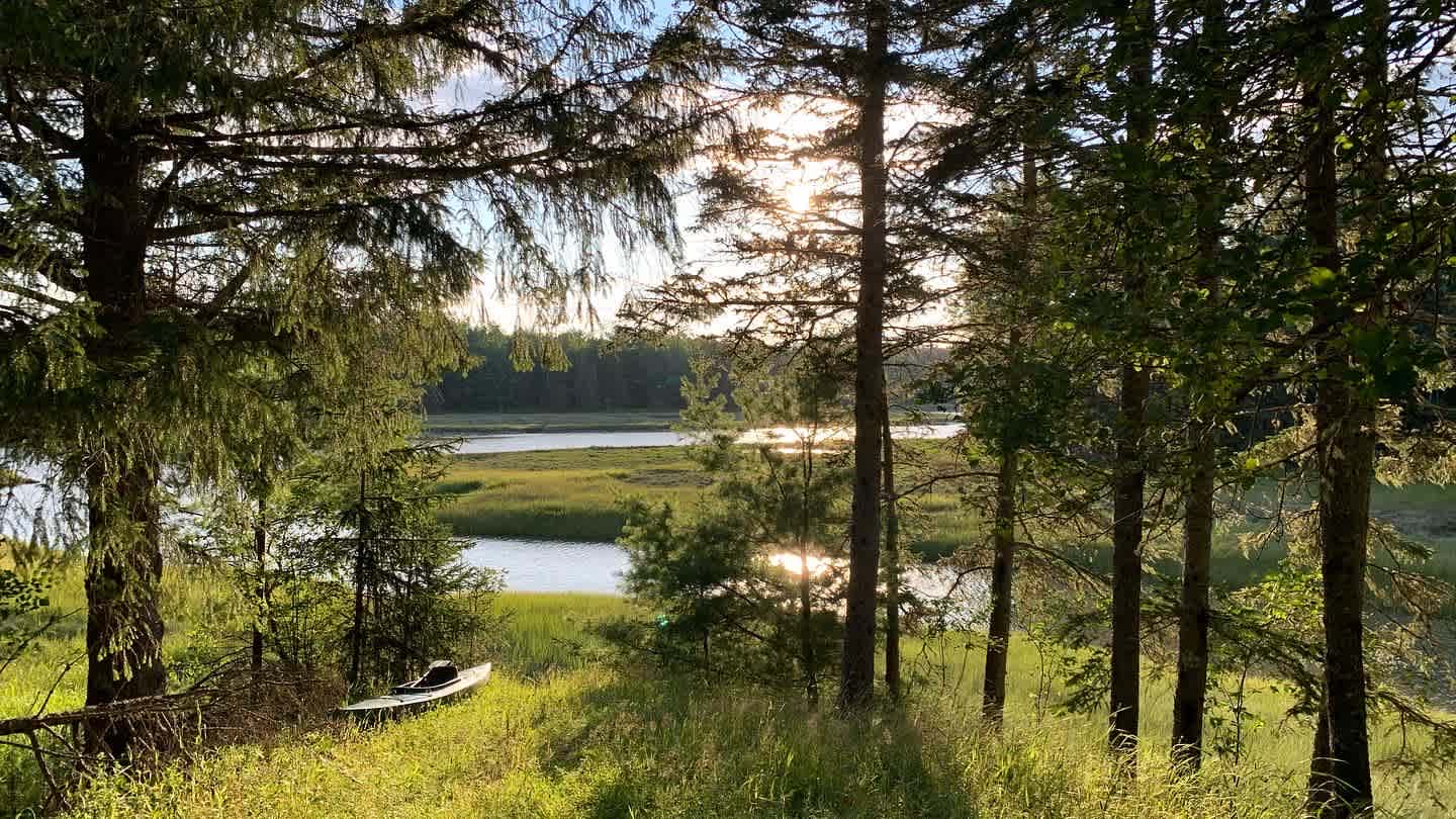 View from the cabin 
