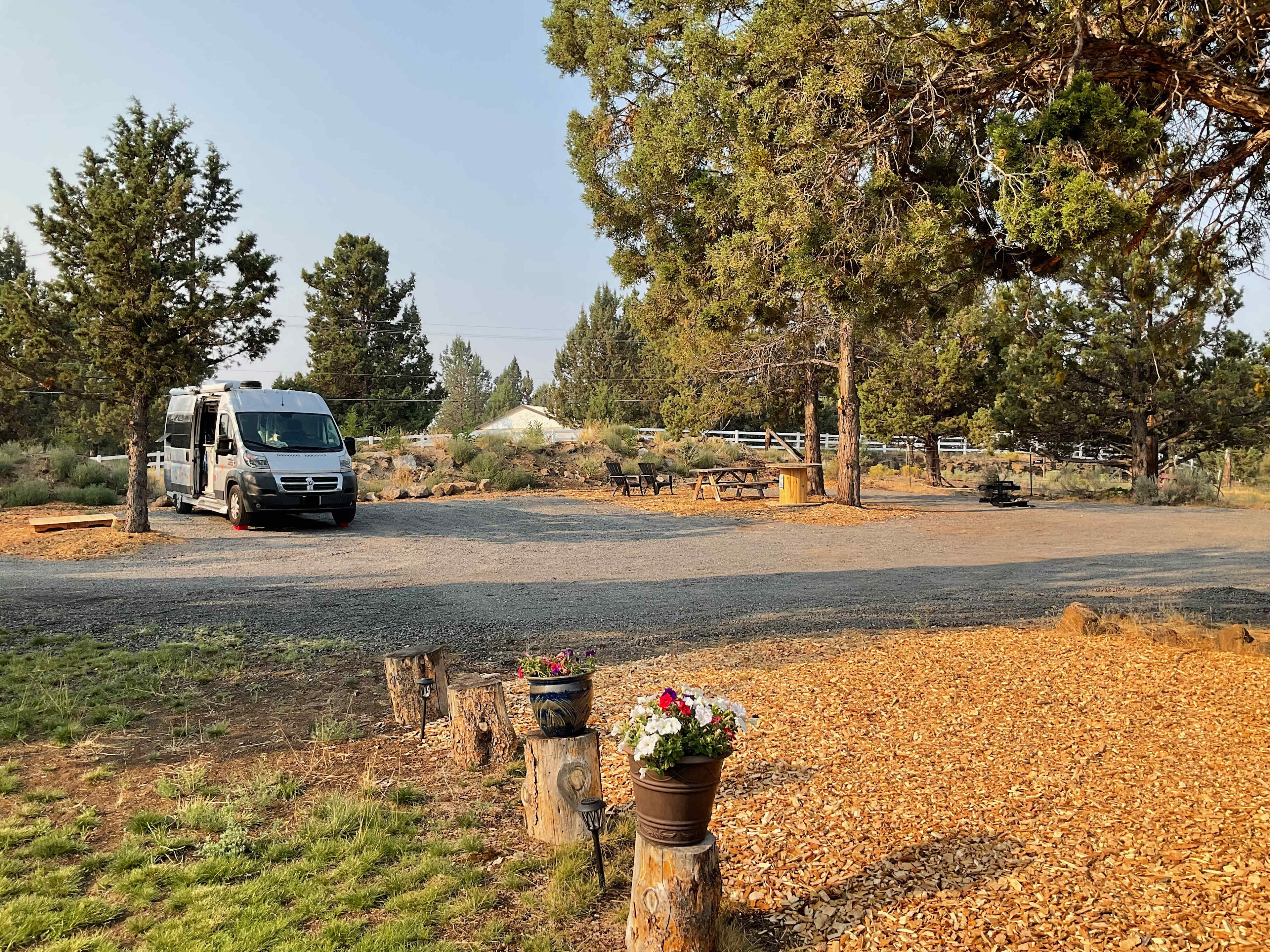 Picture of the site