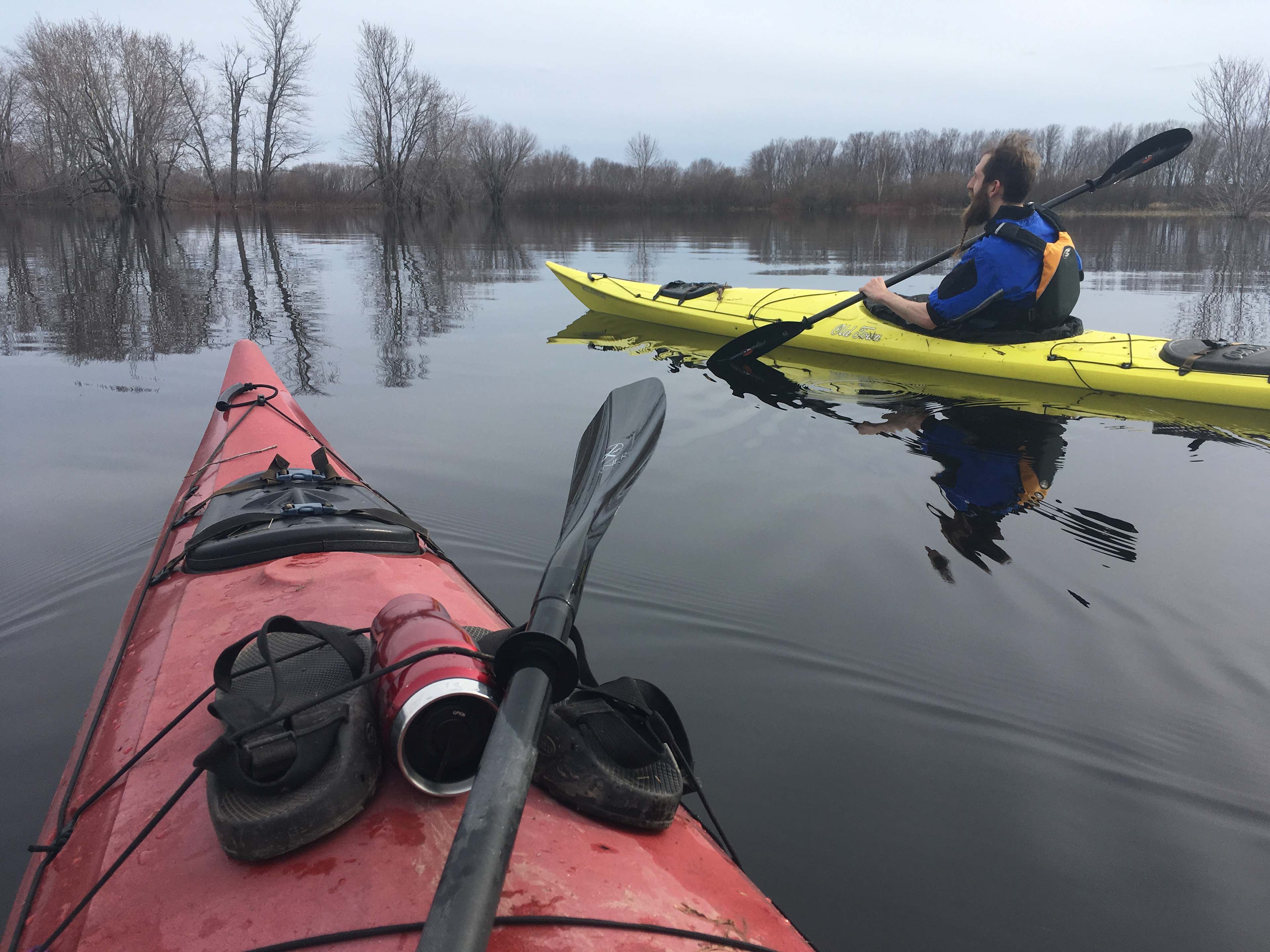 We have six sea kayaks to rent out... and the river is alive with birds, beavers and muskrats that are fun to observe. 