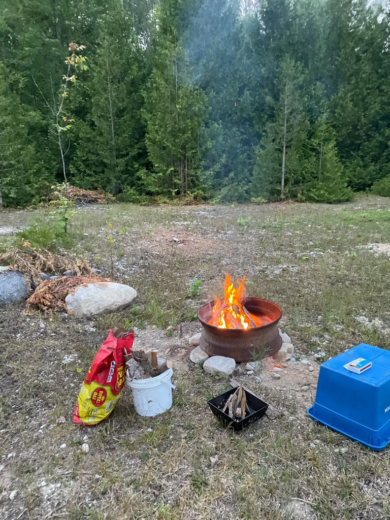 Picture of the site
